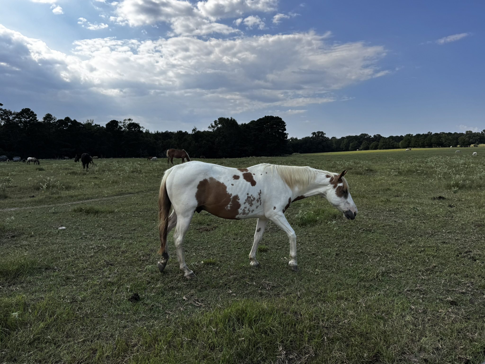 rainbow (copy) rainbow (copy)