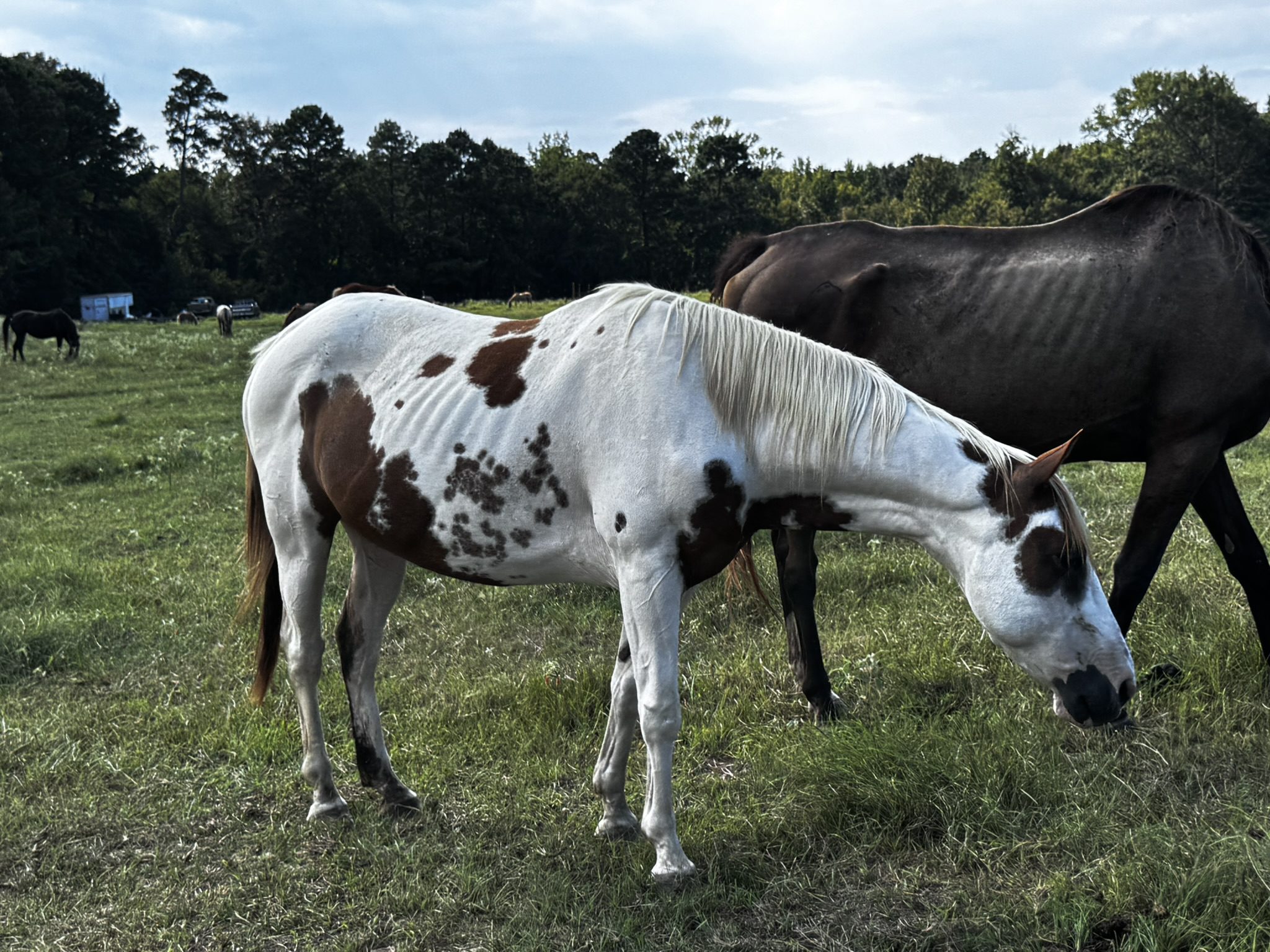 rainbow (copy) rainbow (copy)