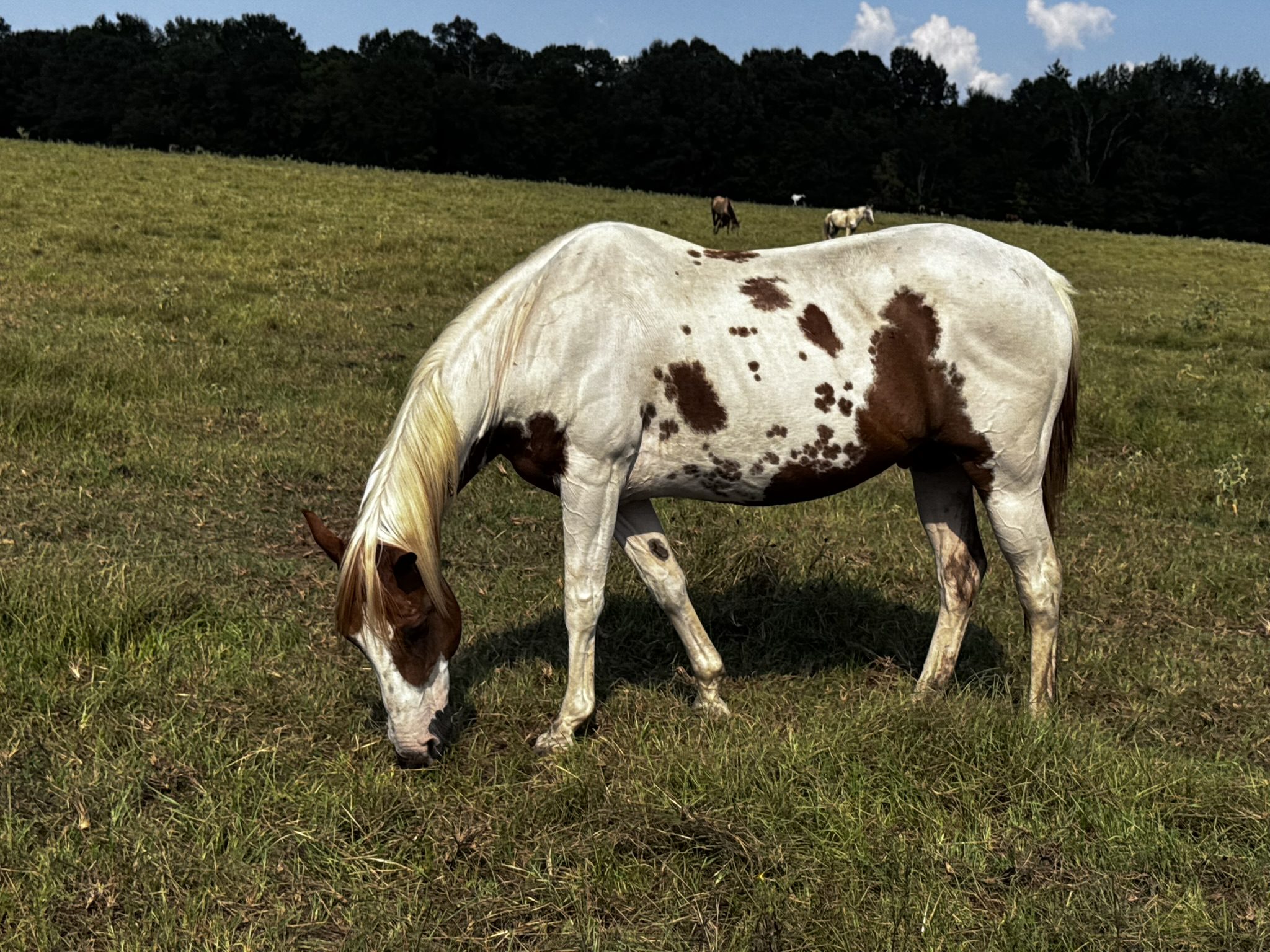rainbow (copy) rainbow (copy)