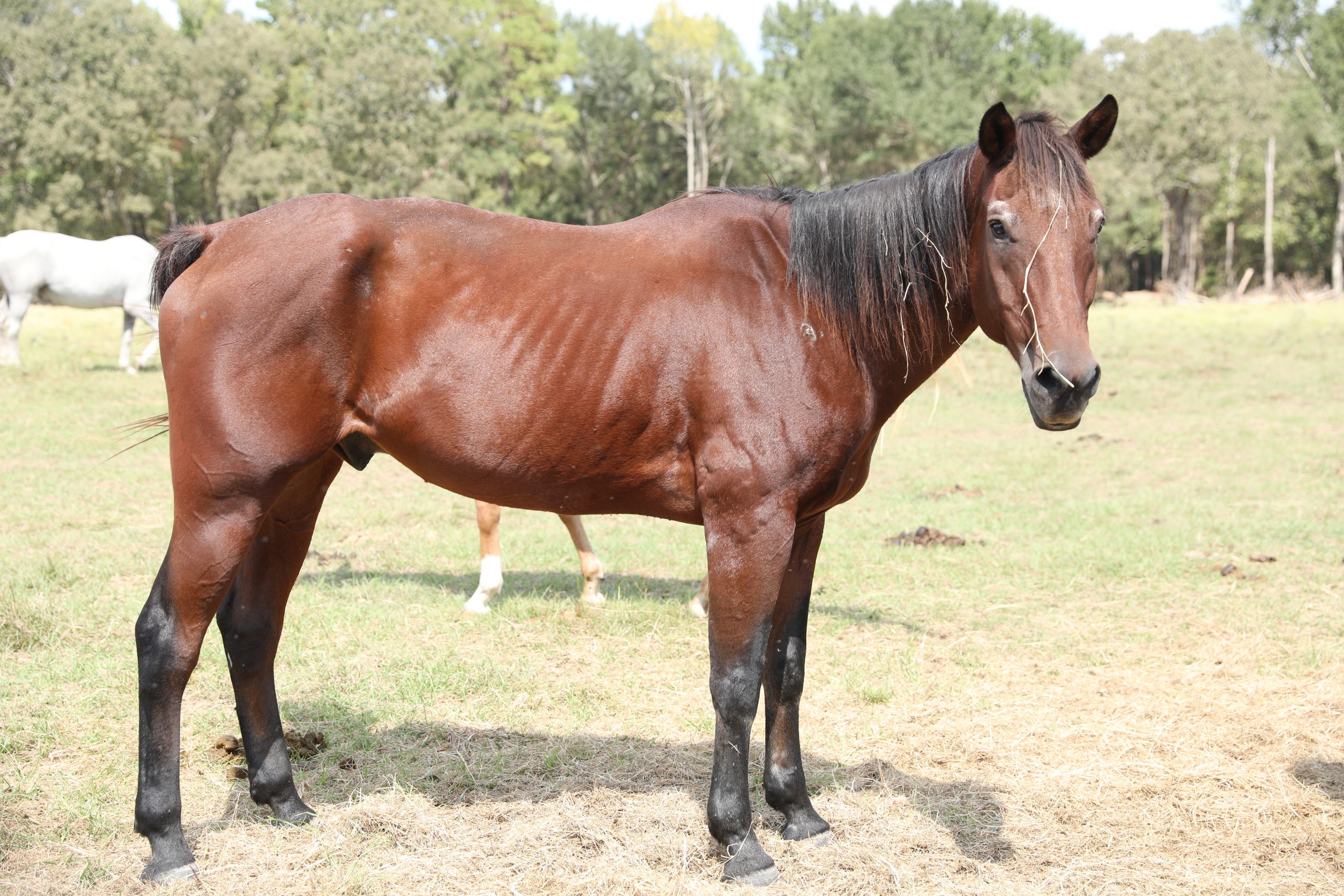 auto draft auto draft