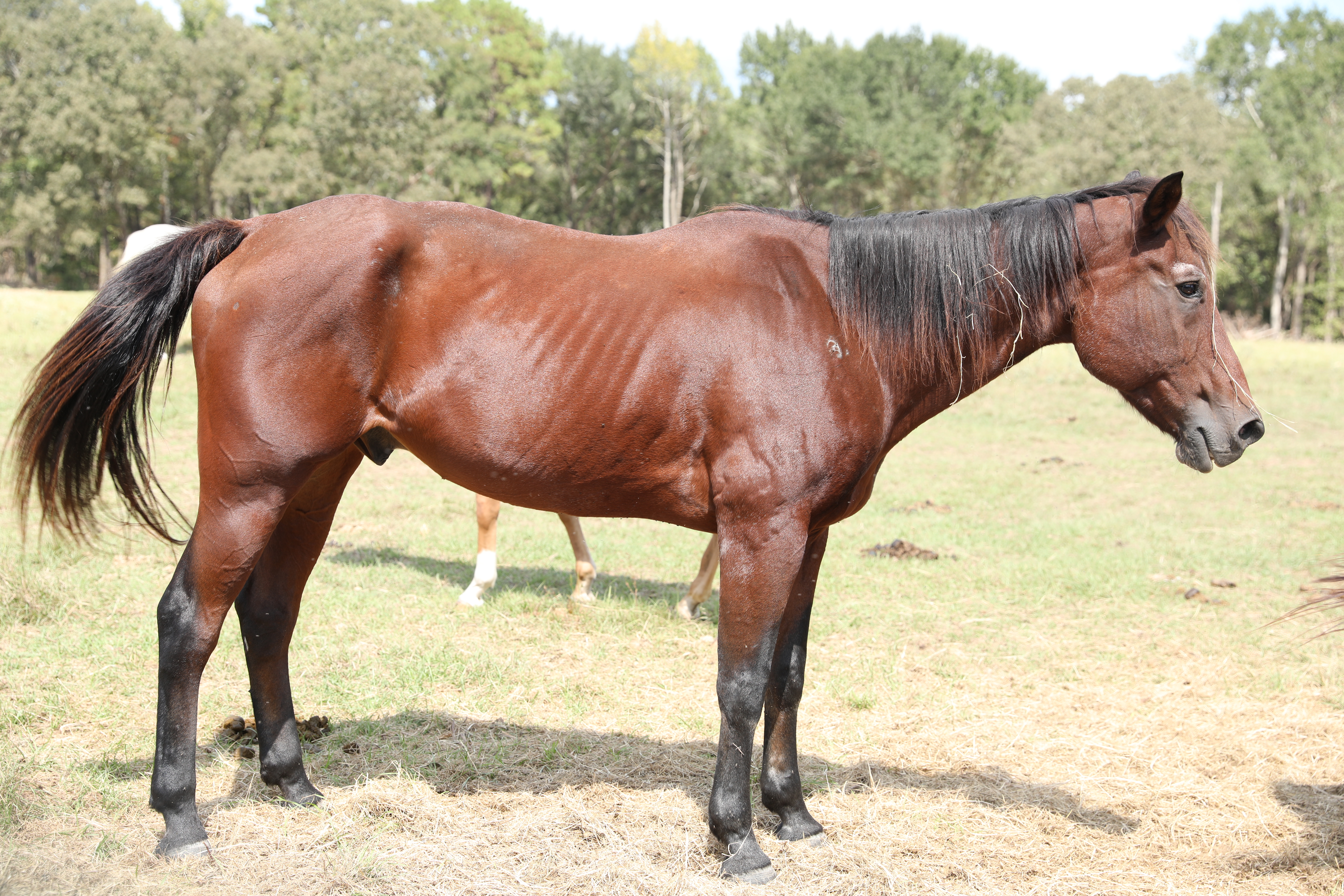 auto draft auto draft