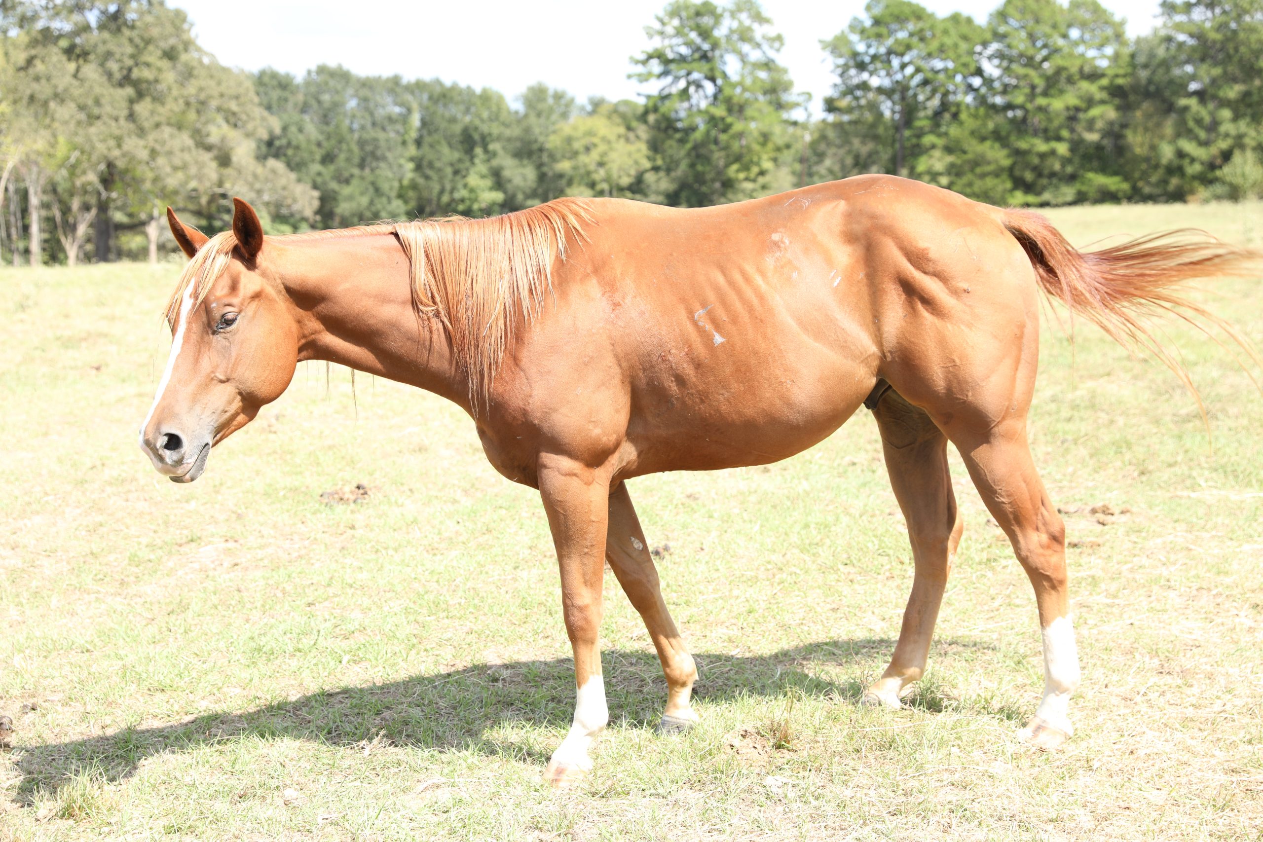 auto draft auto draft