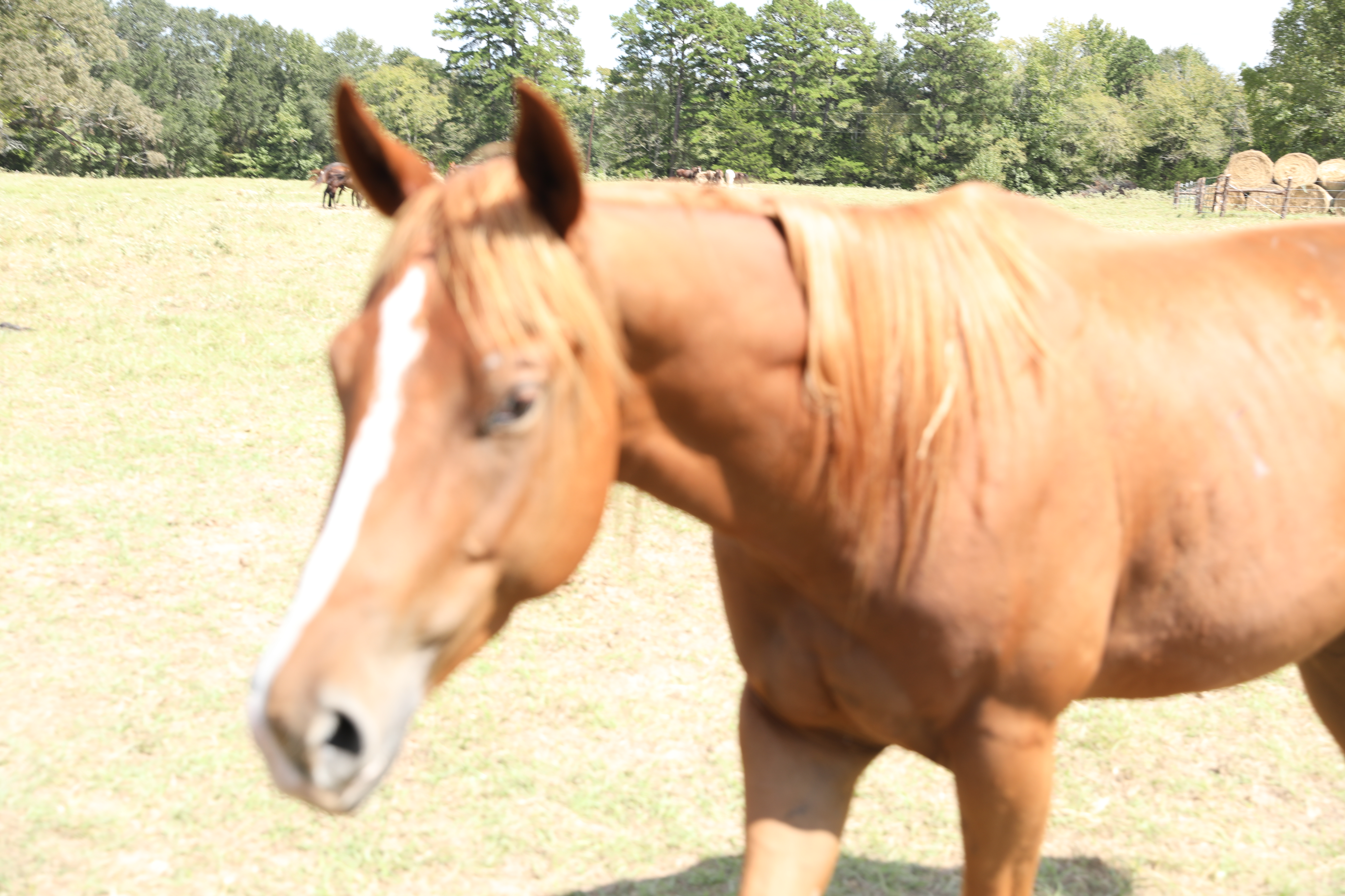 auto draft auto draft