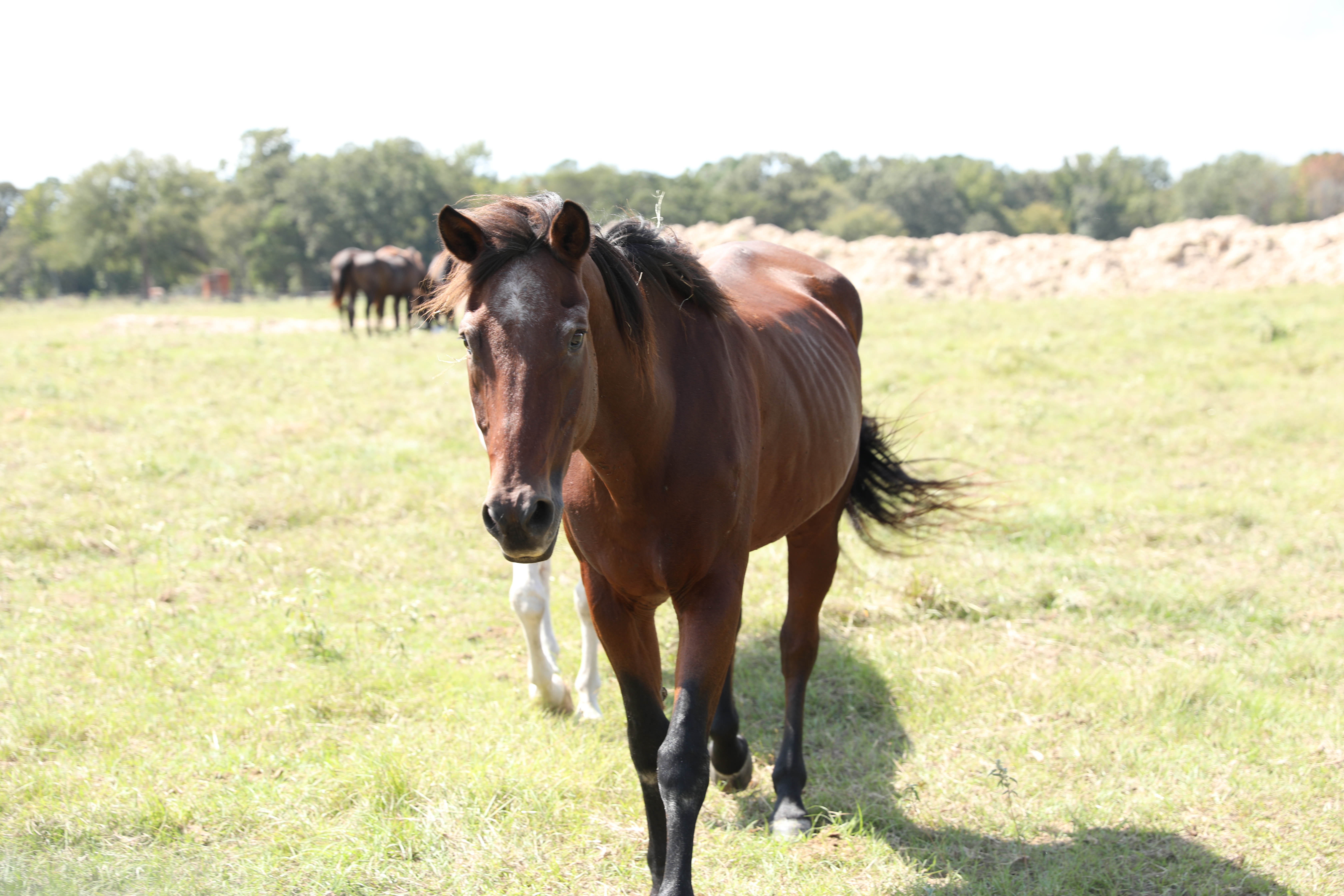 auto draft auto draft