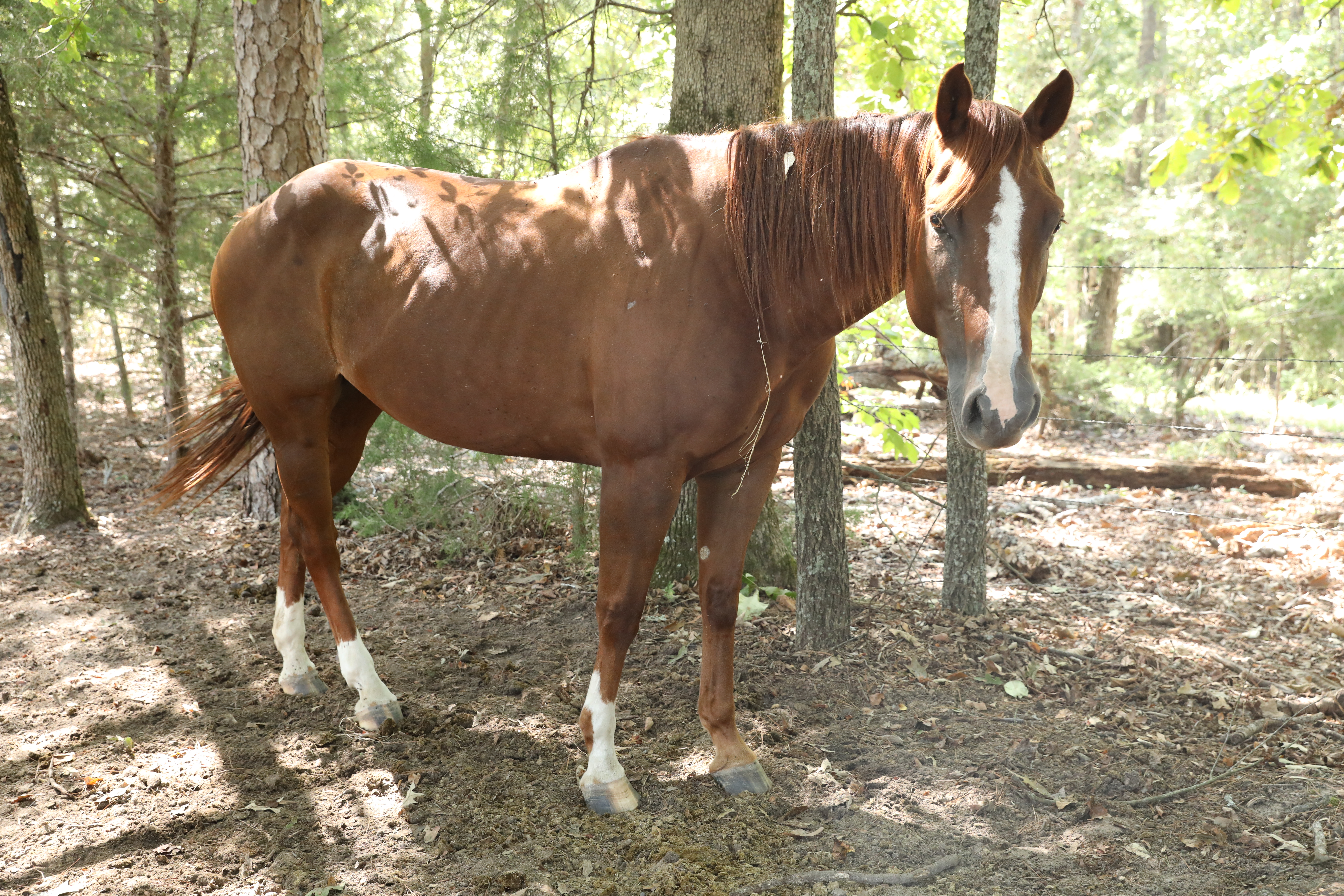 autumn (copy) autumn (copy)