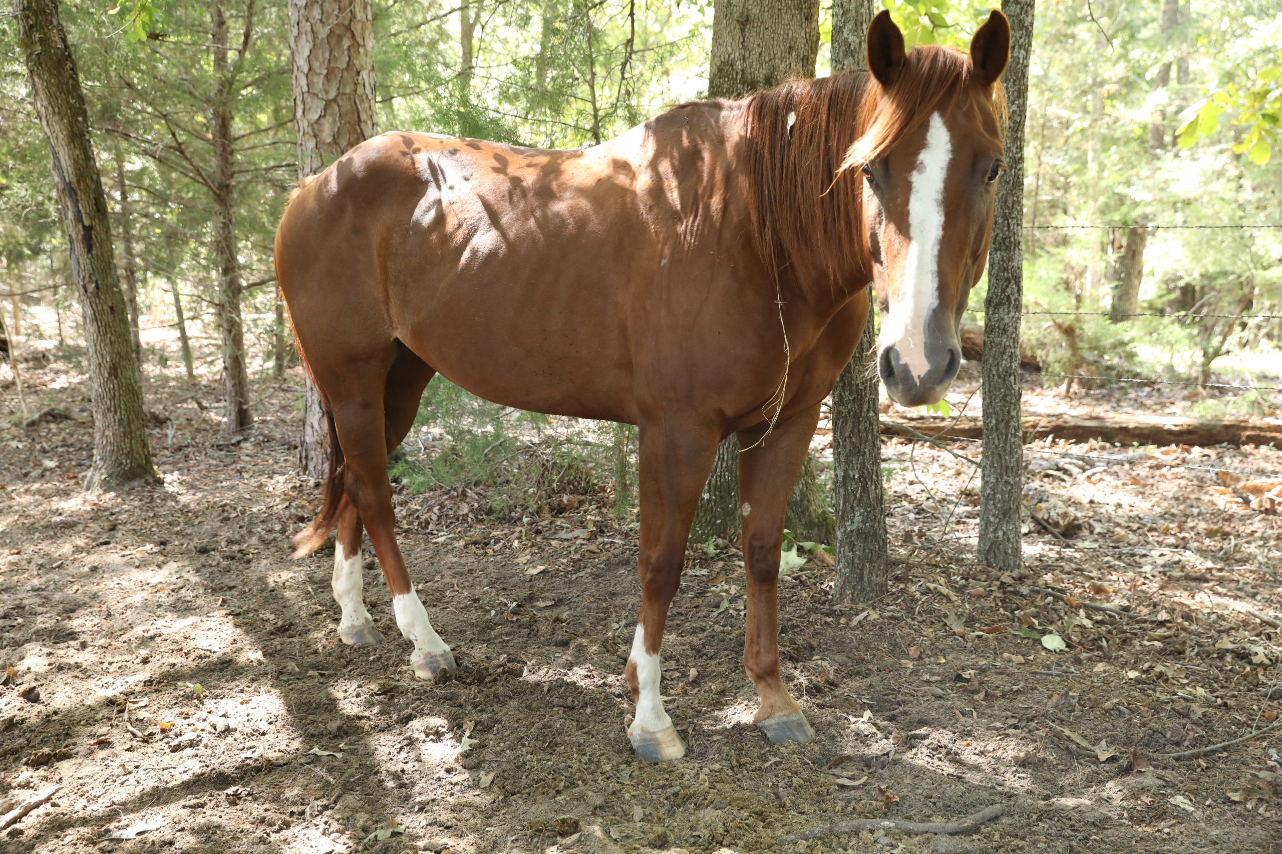 autumn (copy) autumn (copy)
