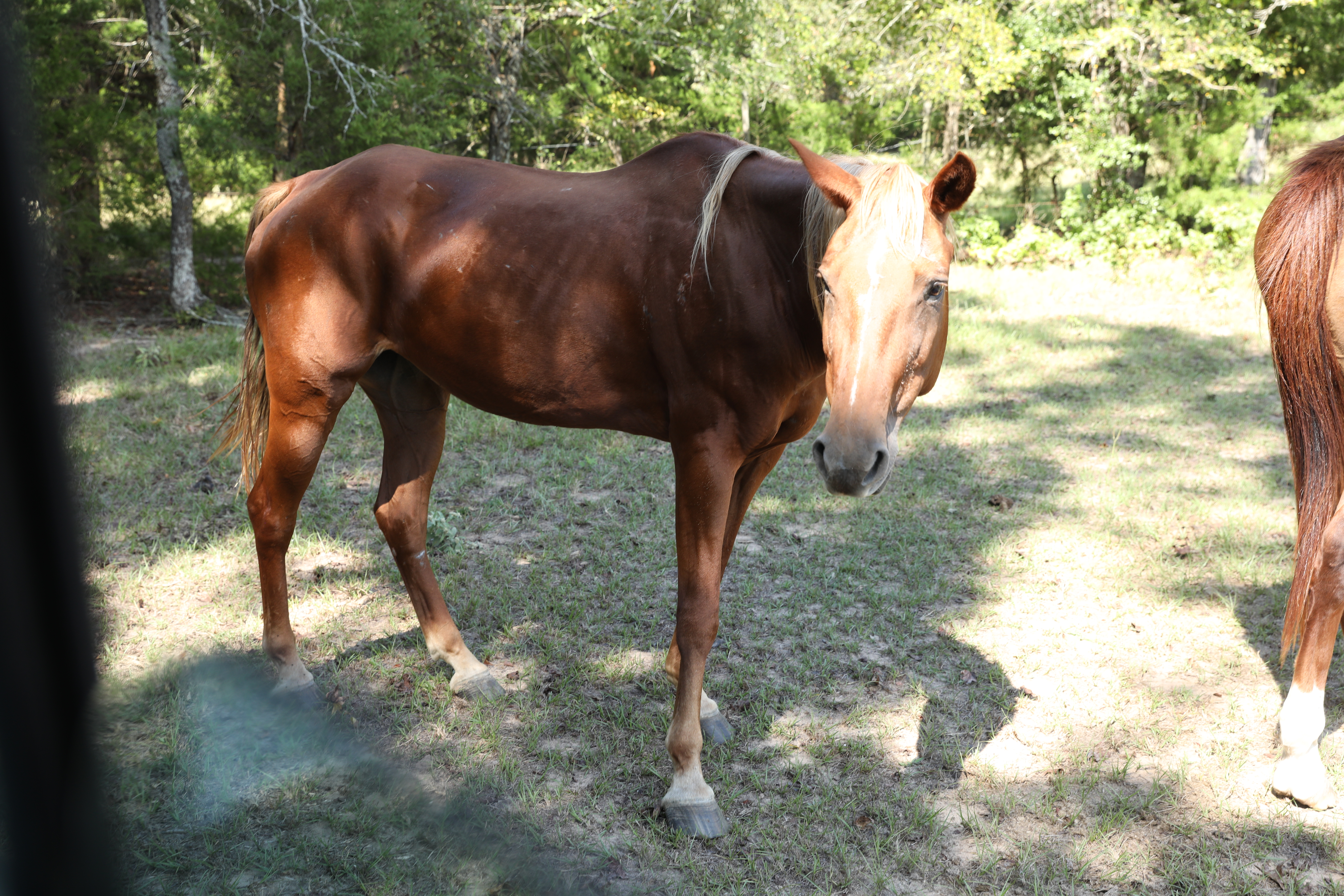 auto draft auto draft