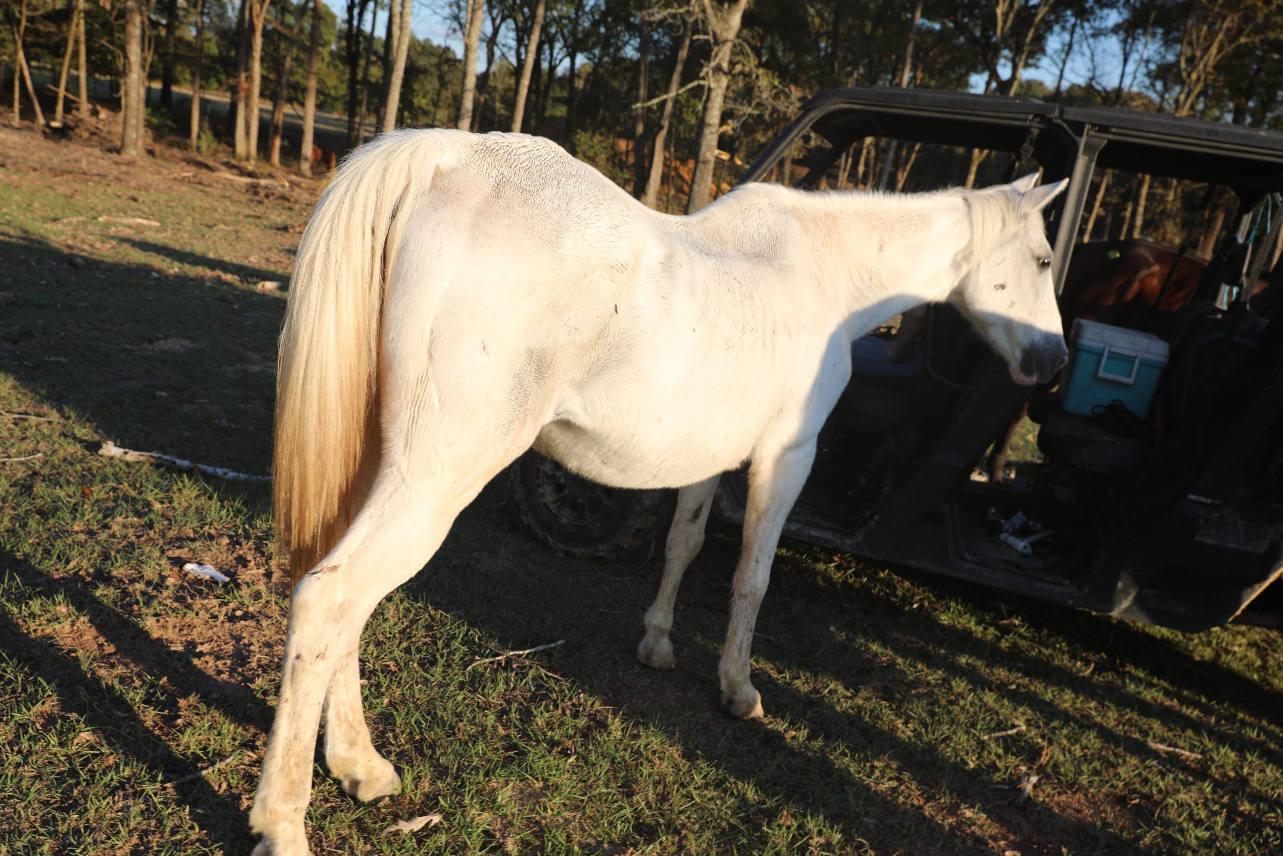 bubbles (copy) bubbles (copy)