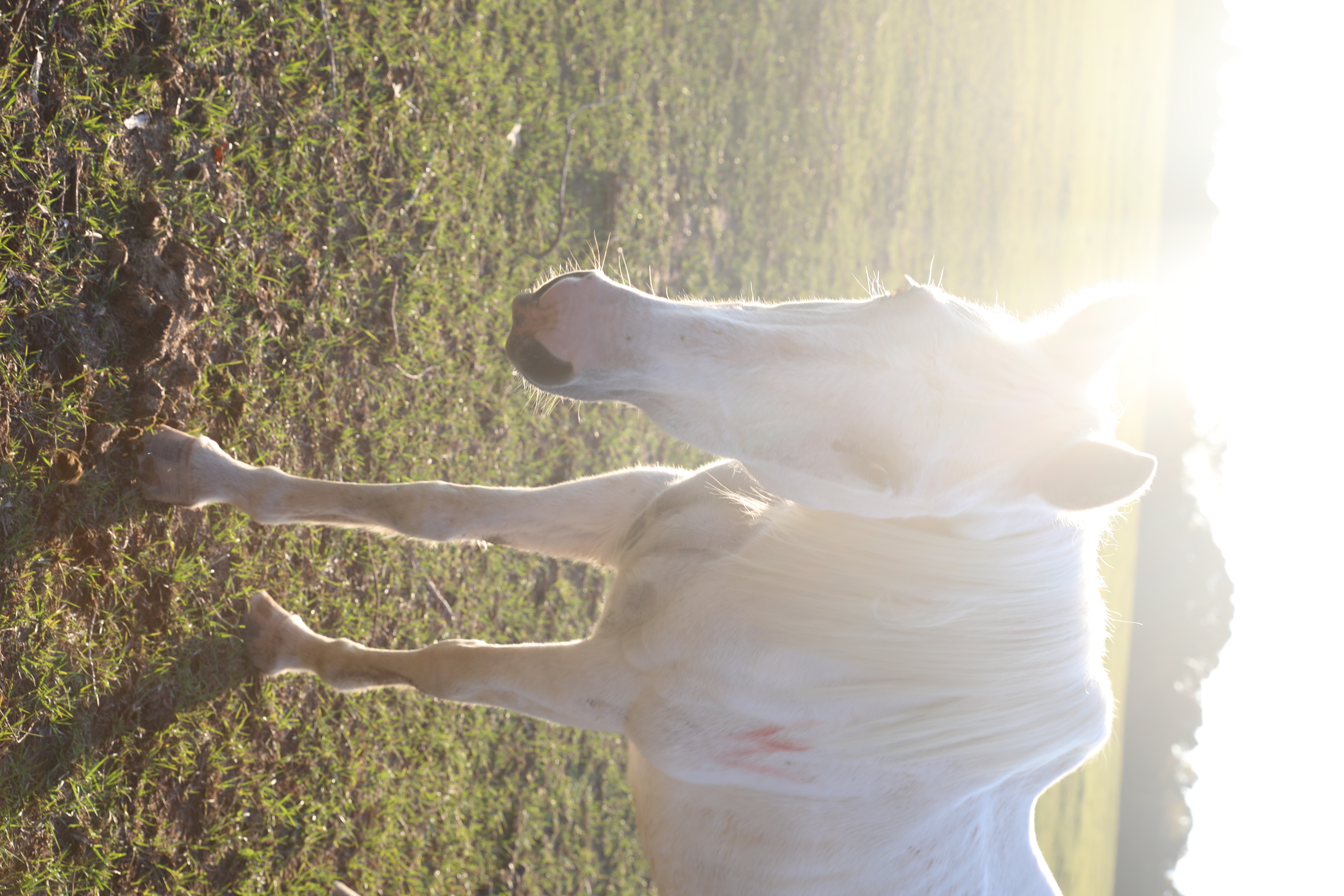 bubbles (copy) bubbles (copy)