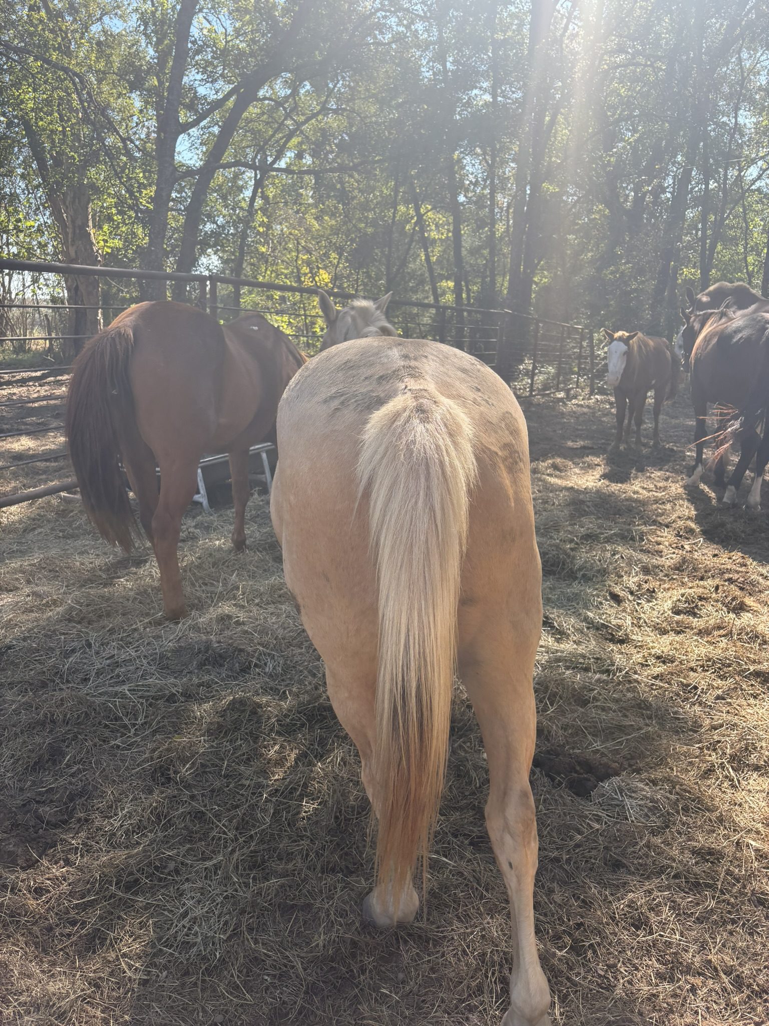 chuck (copy) chuck (copy)