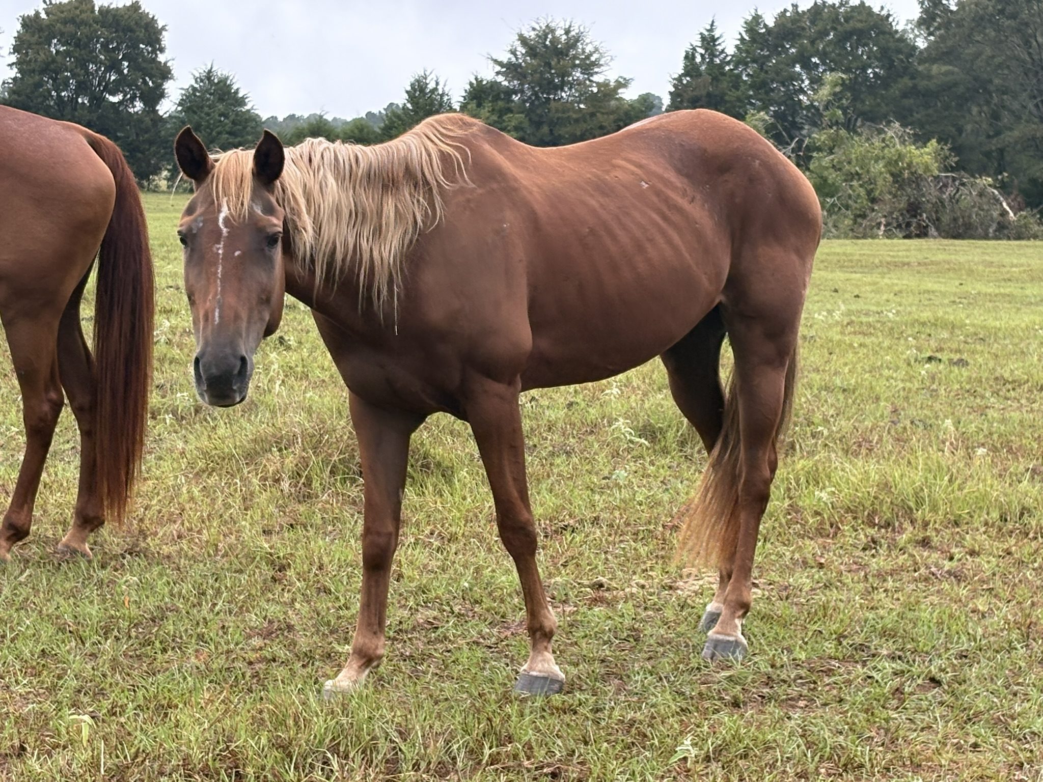 auto draft auto draft