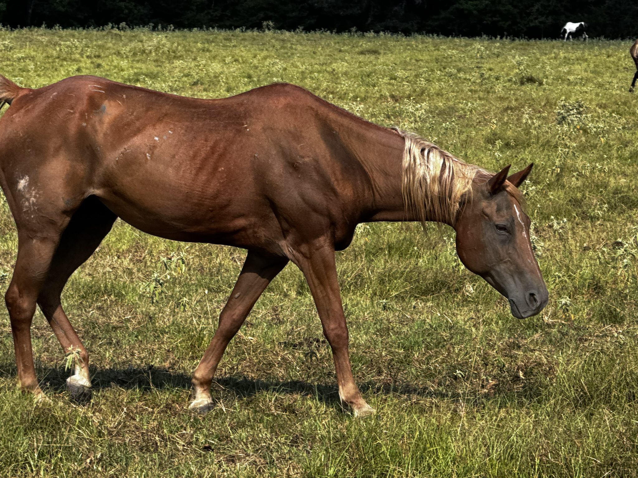 auto draft auto draft