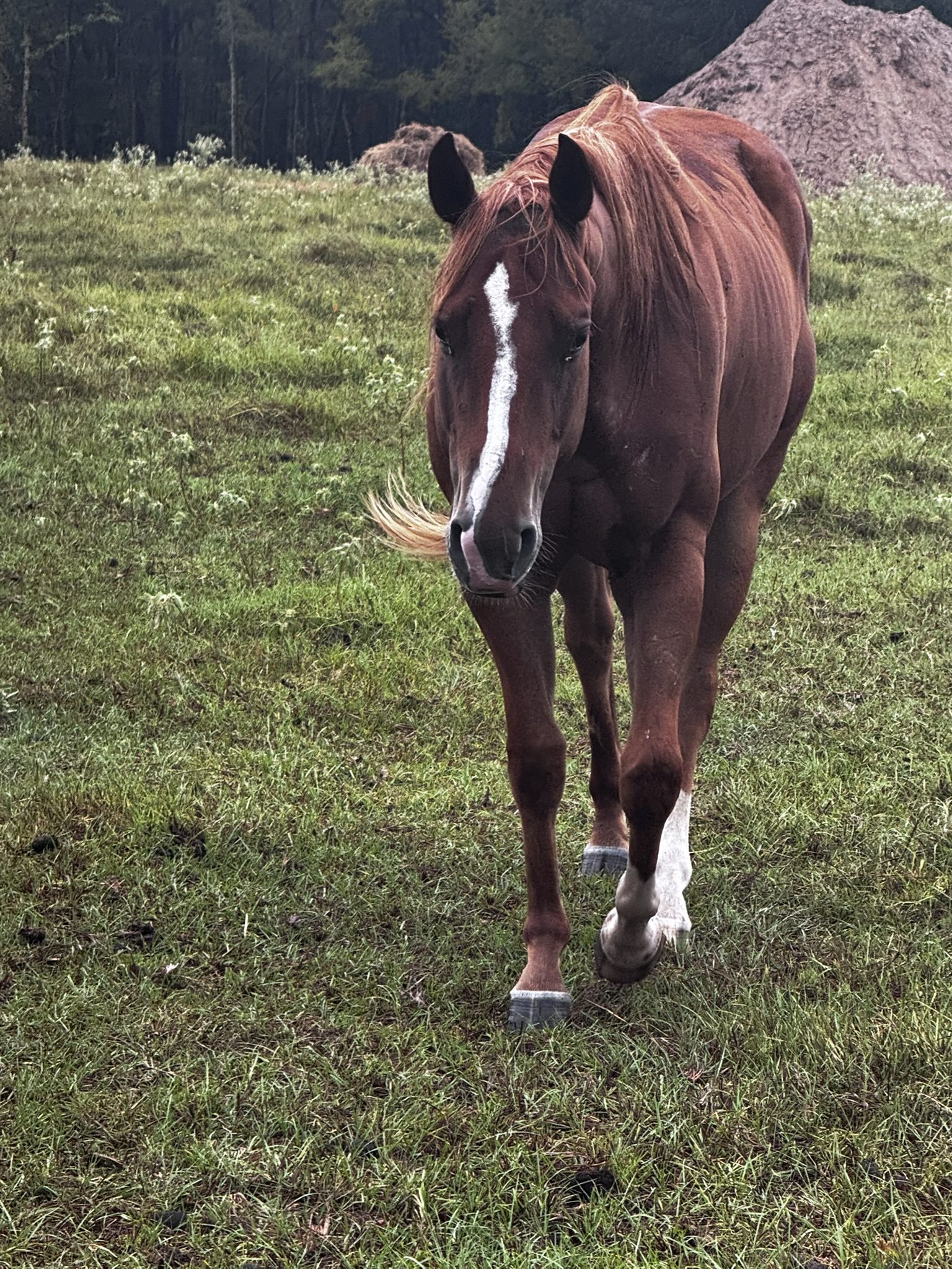 auto draft auto draft