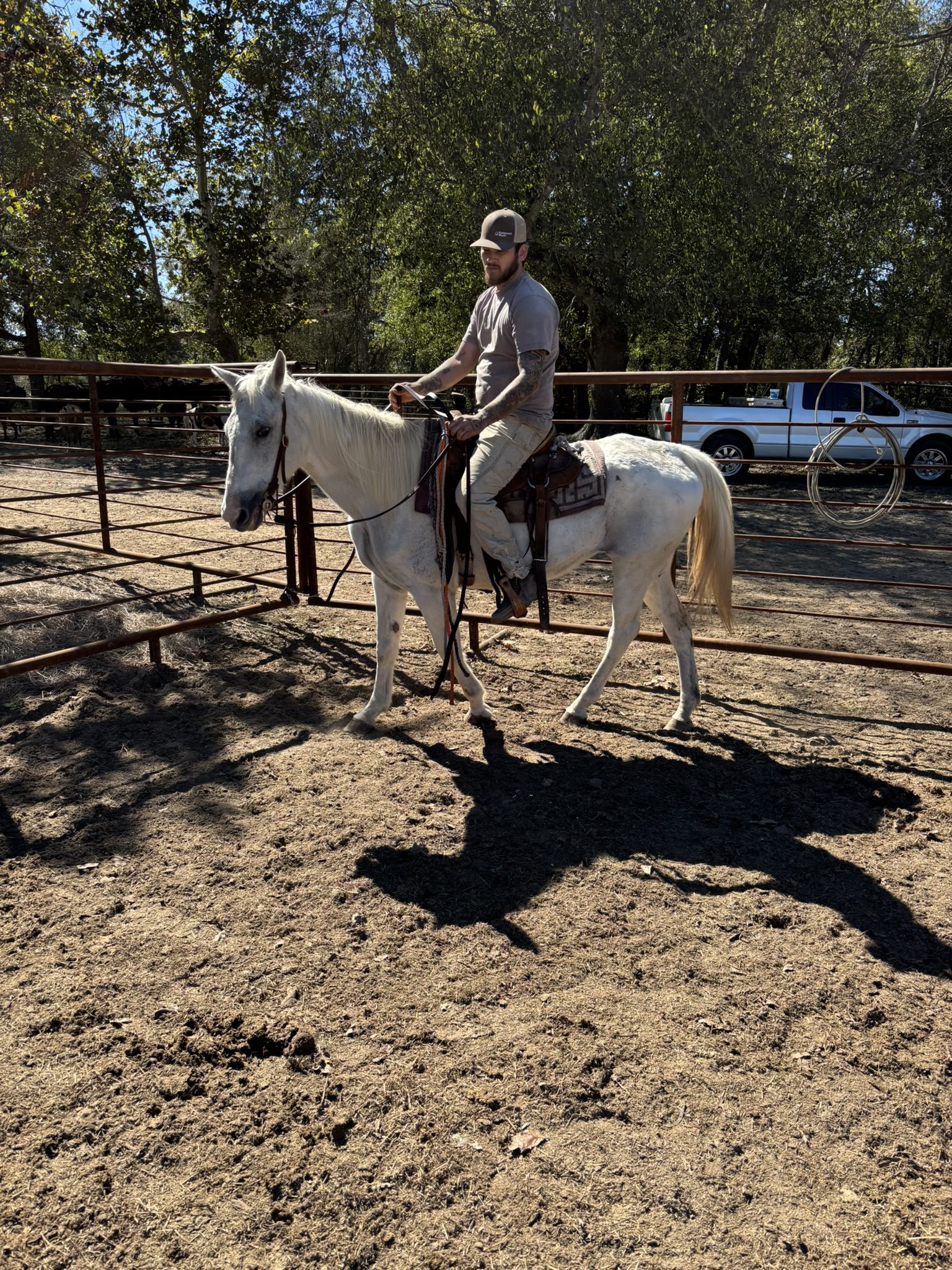 bubbles (copy) bubbles (copy)