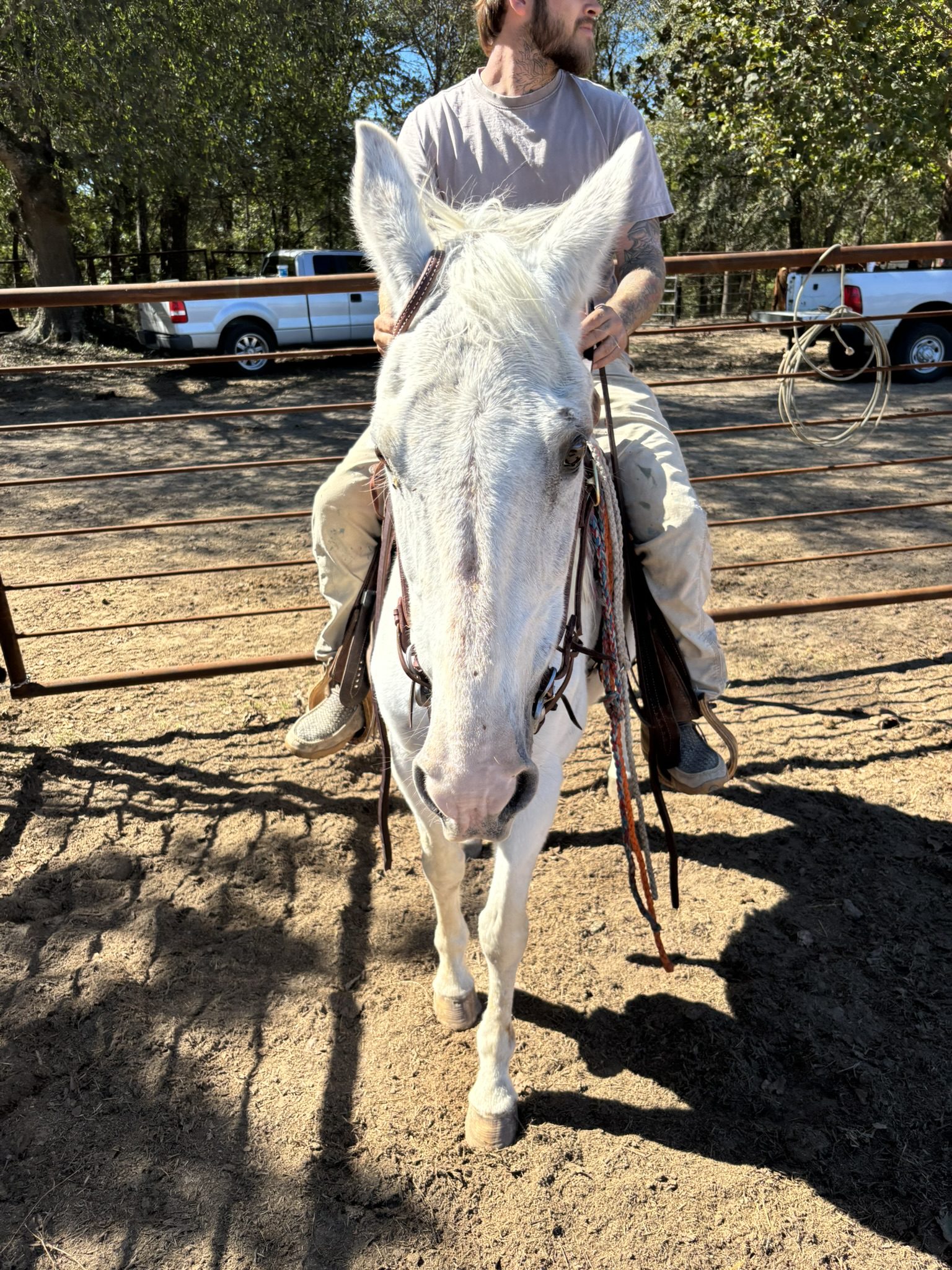 bubbles (copy) bubbles (copy)