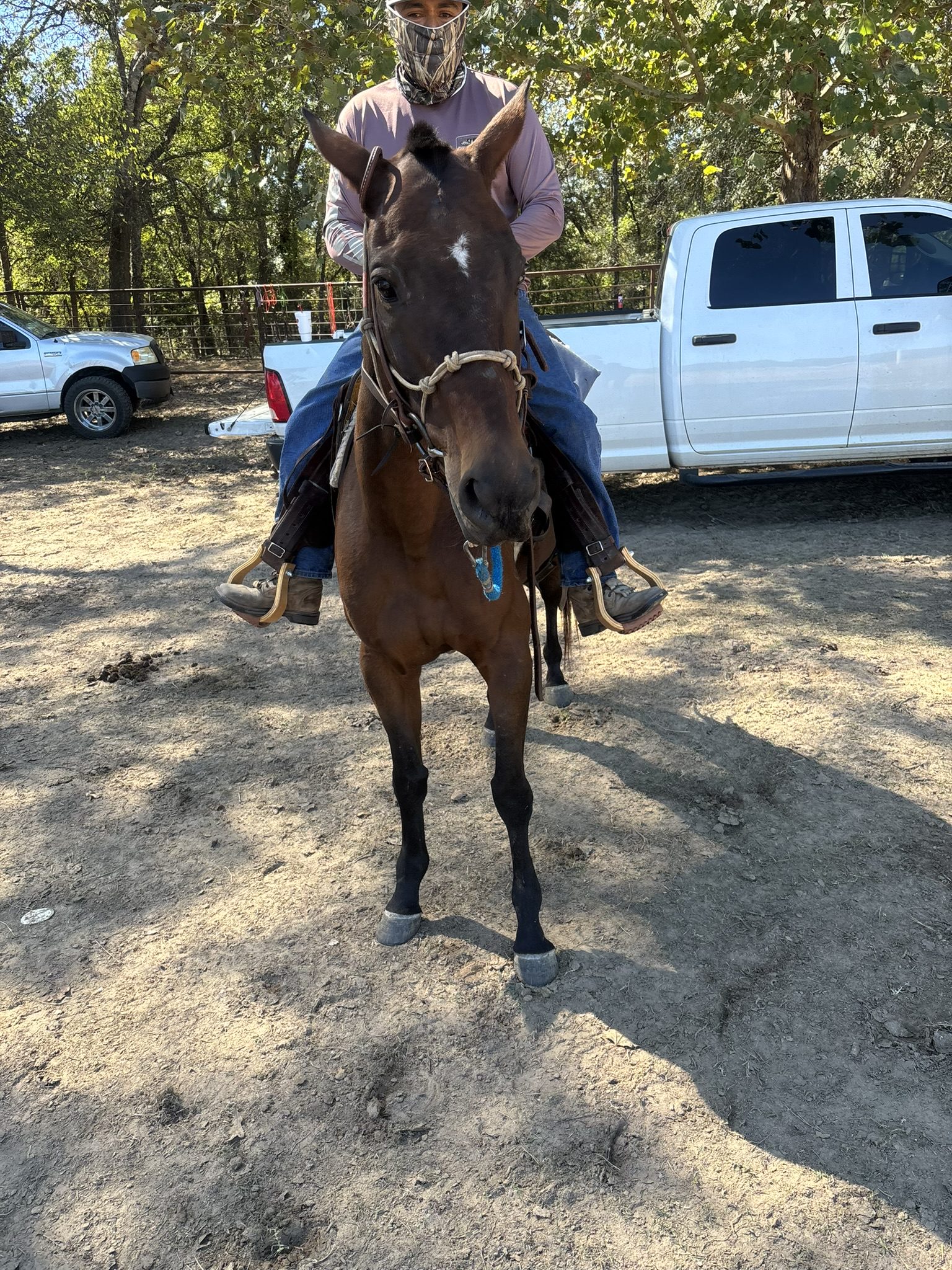 checkers (copy) checkers (copy)