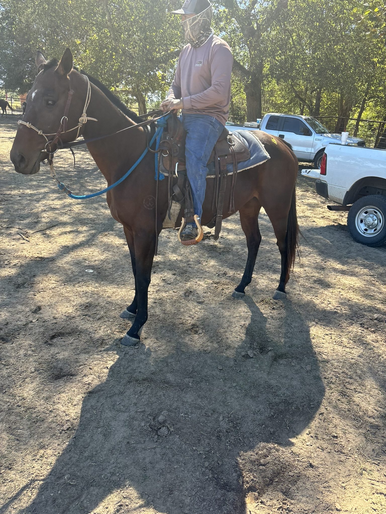 checkers (copy) checkers (copy)