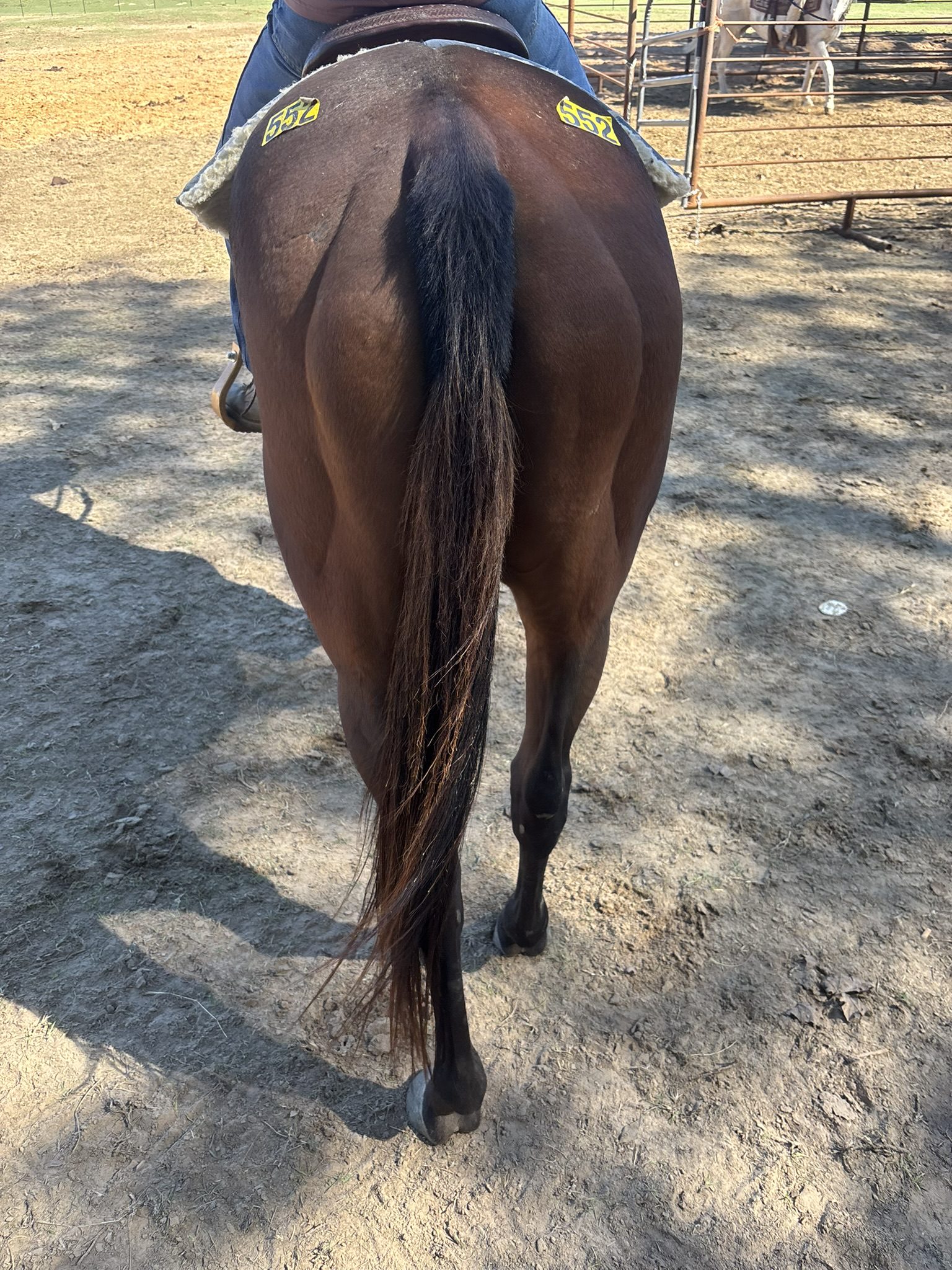 checkers (copy) checkers (copy)