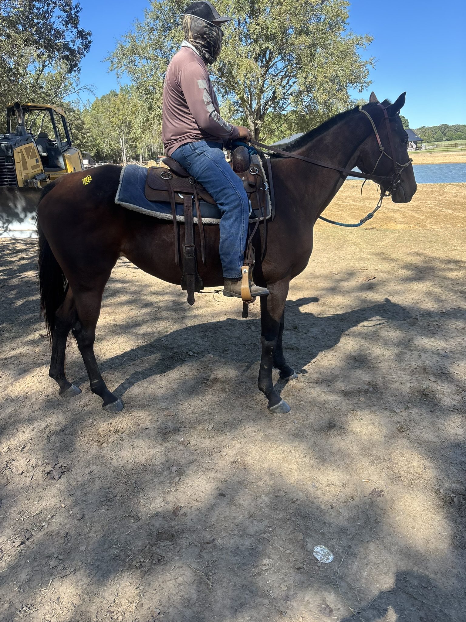 checkers (copy) checkers (copy)