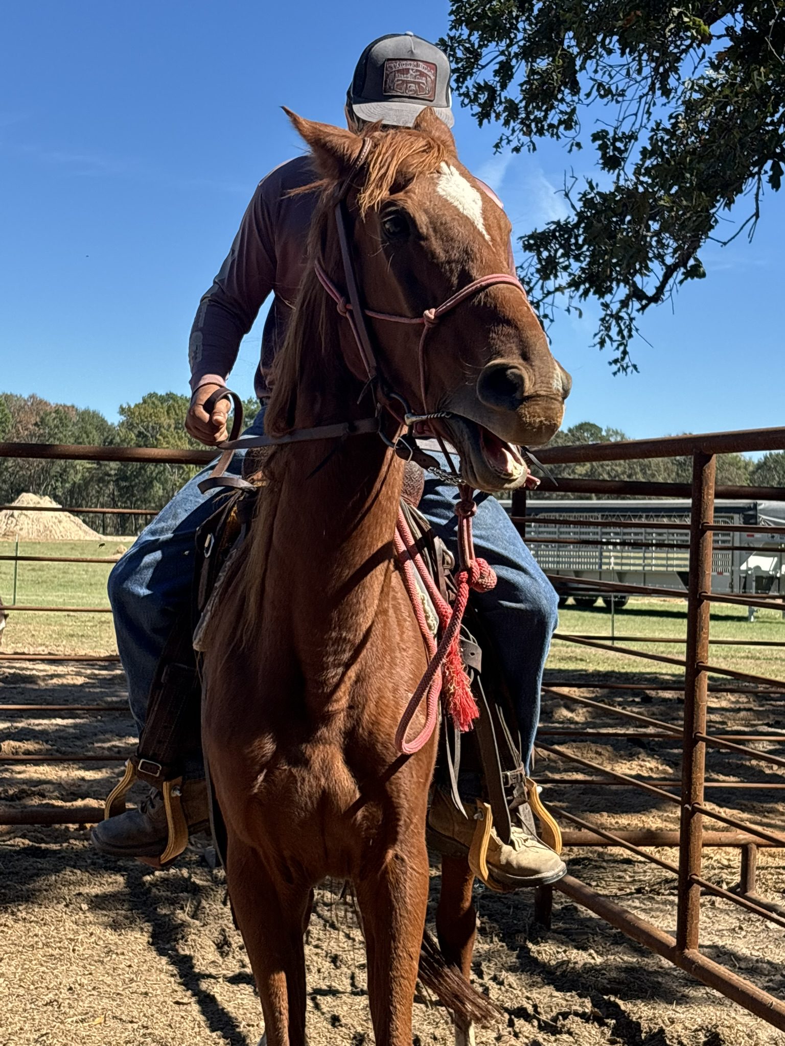 blanco (copy) blanco (copy)