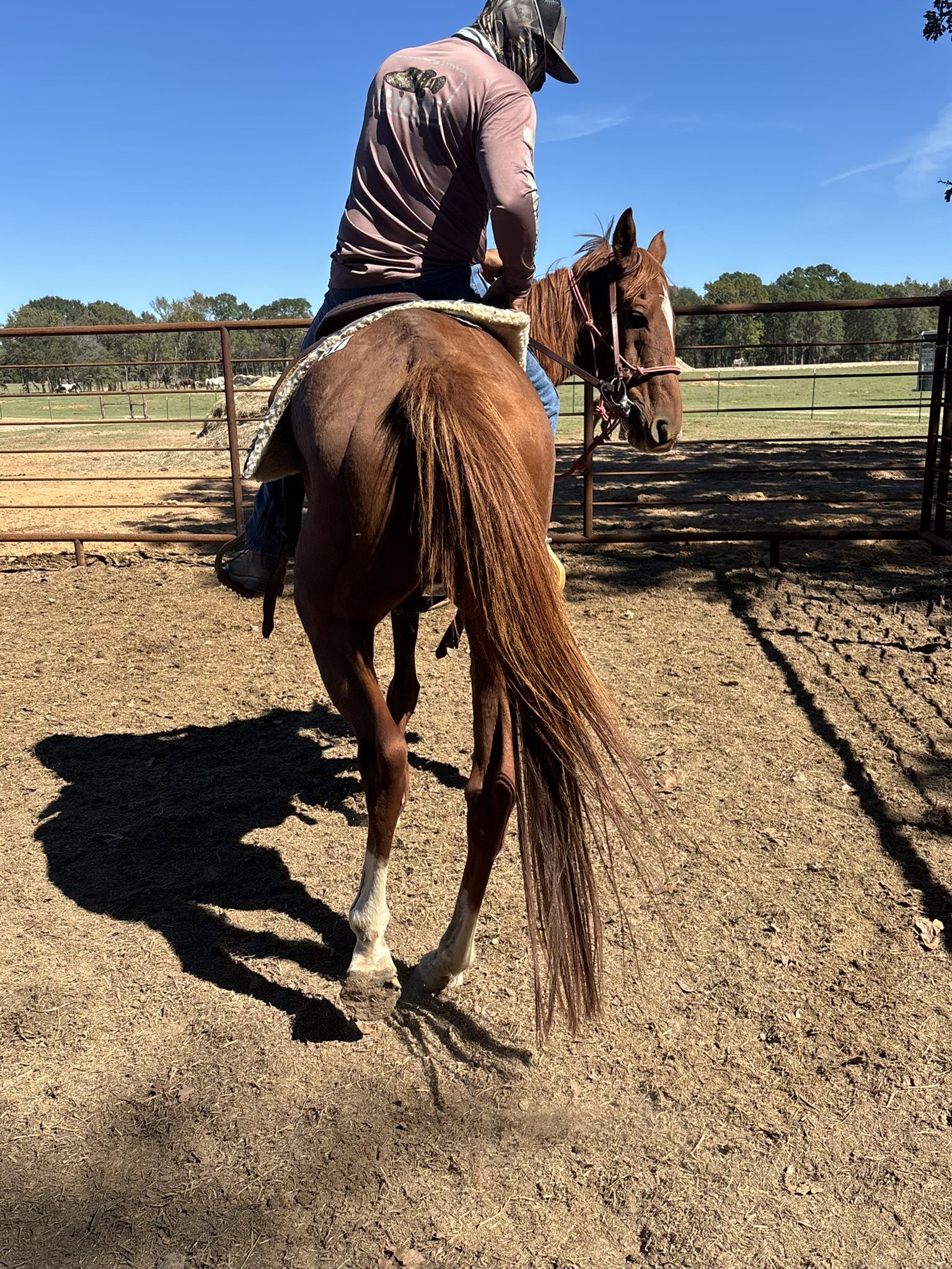 blanco (copy) blanco (copy)