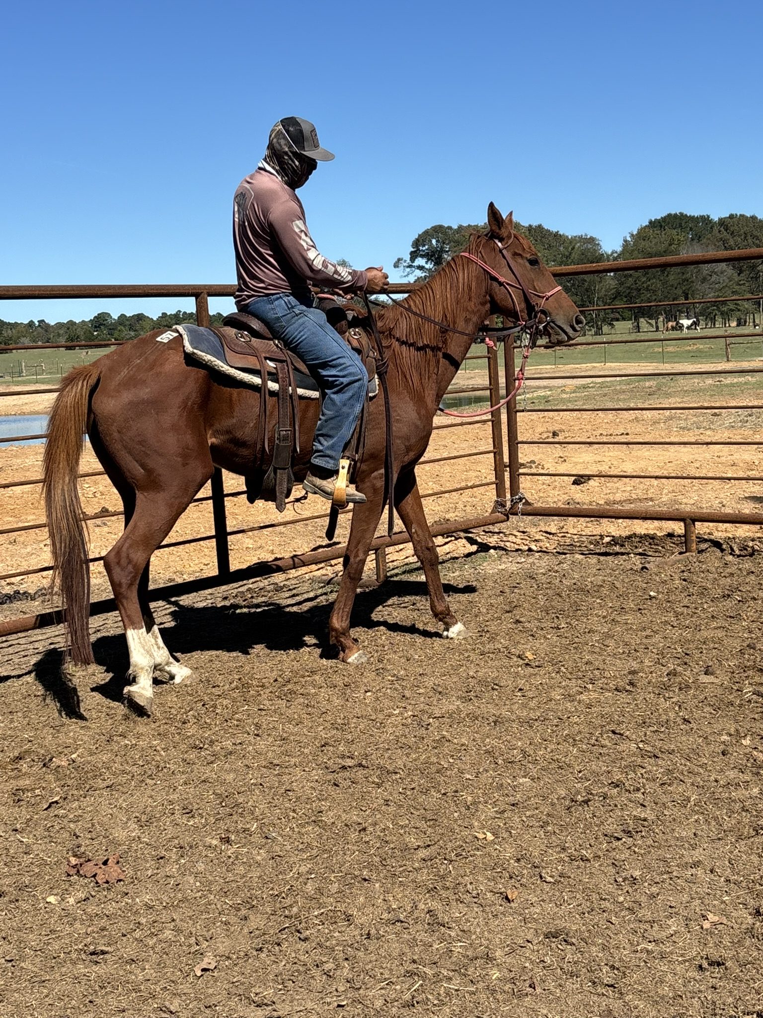 blanco (copy) blanco (copy)