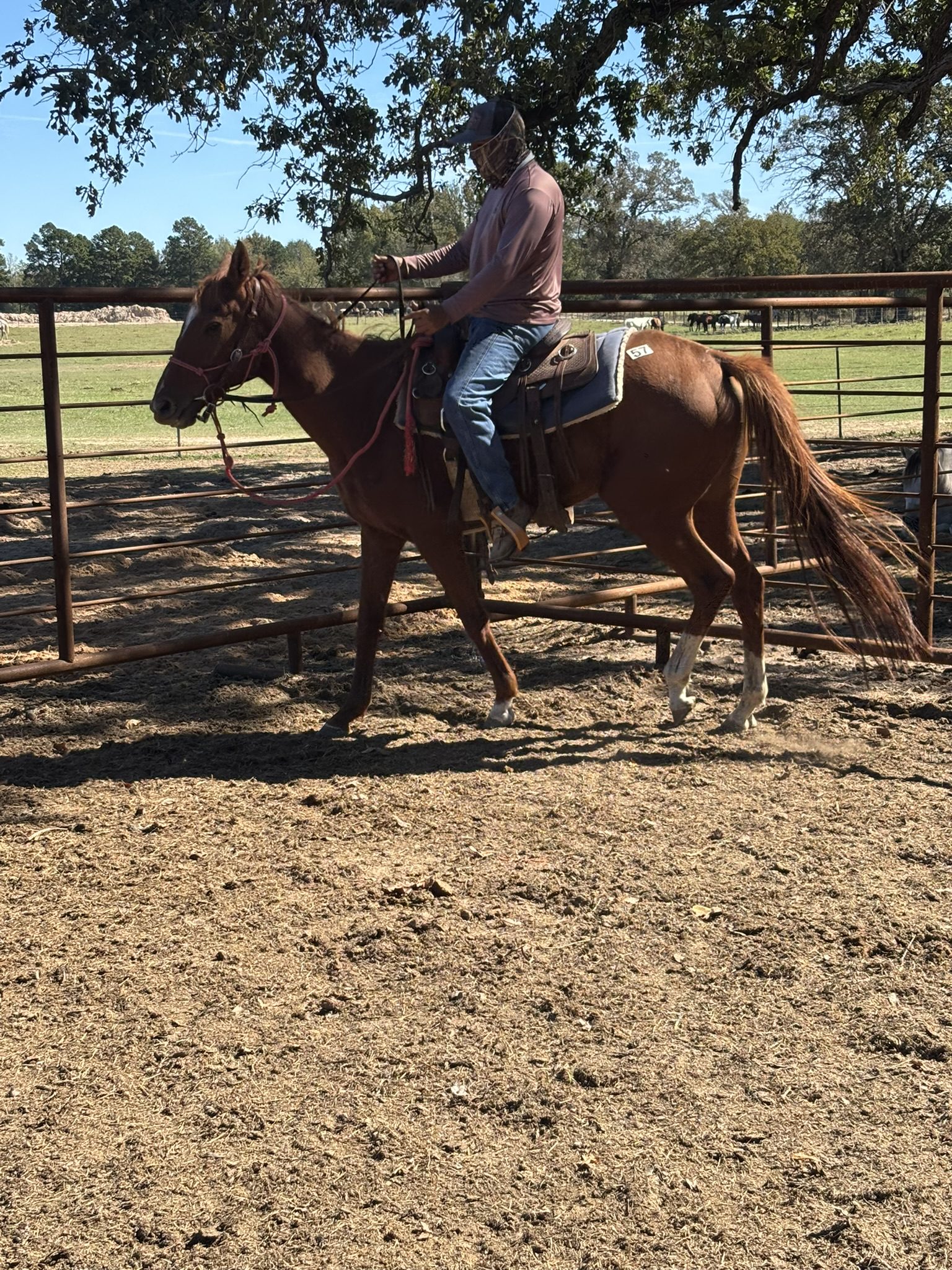 blanco (copy) blanco (copy)