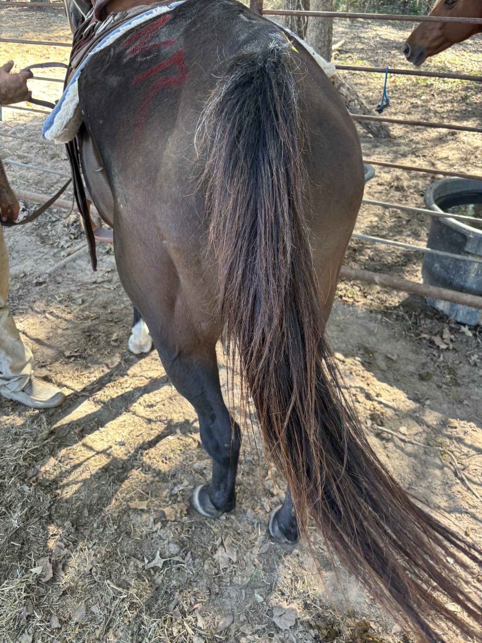 wendy (copy) wendy (copy)