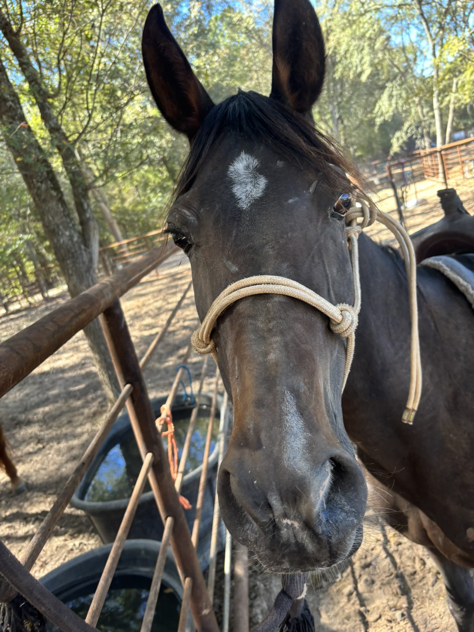 wendy (copy) wendy (copy)