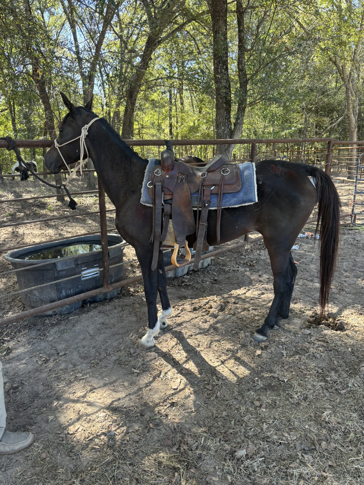 wendy (copy) wendy (copy)