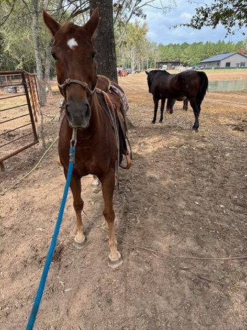 moon (copy) moon (copy)