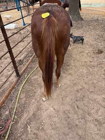 moon (copy) moon (copy)