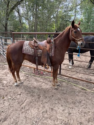 moon (copy) moon (copy)