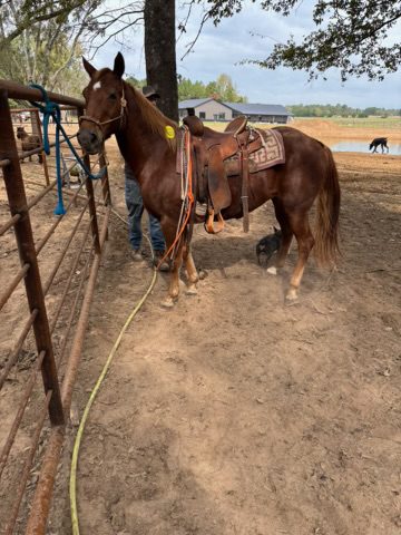 moon (copy) moon (copy)