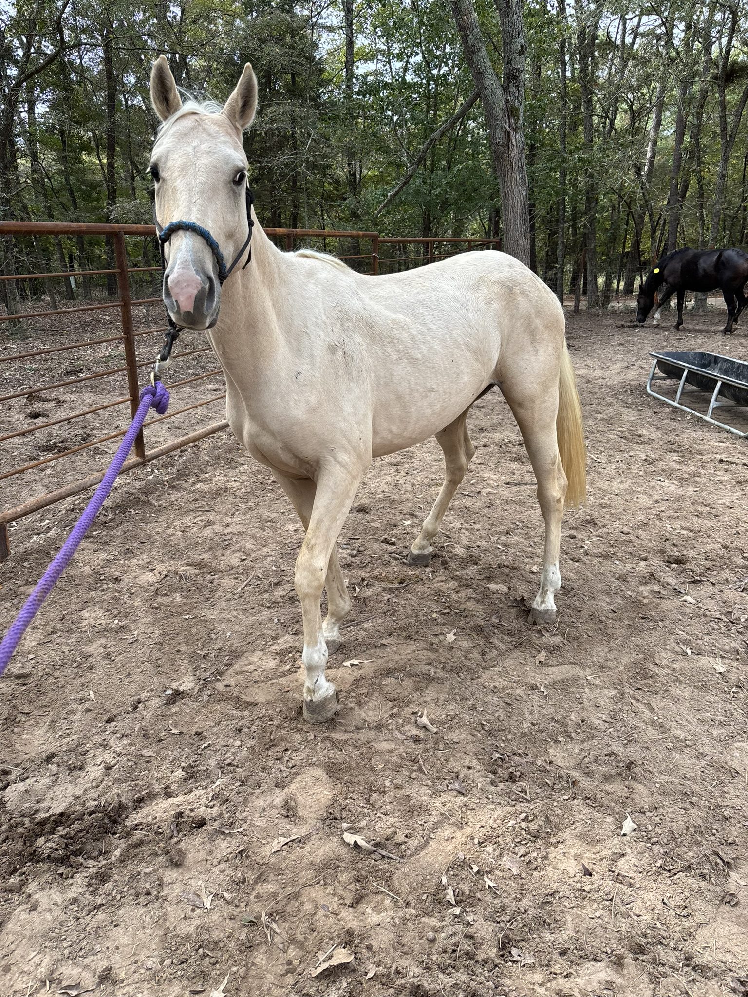 sully (copy) sully (copy)