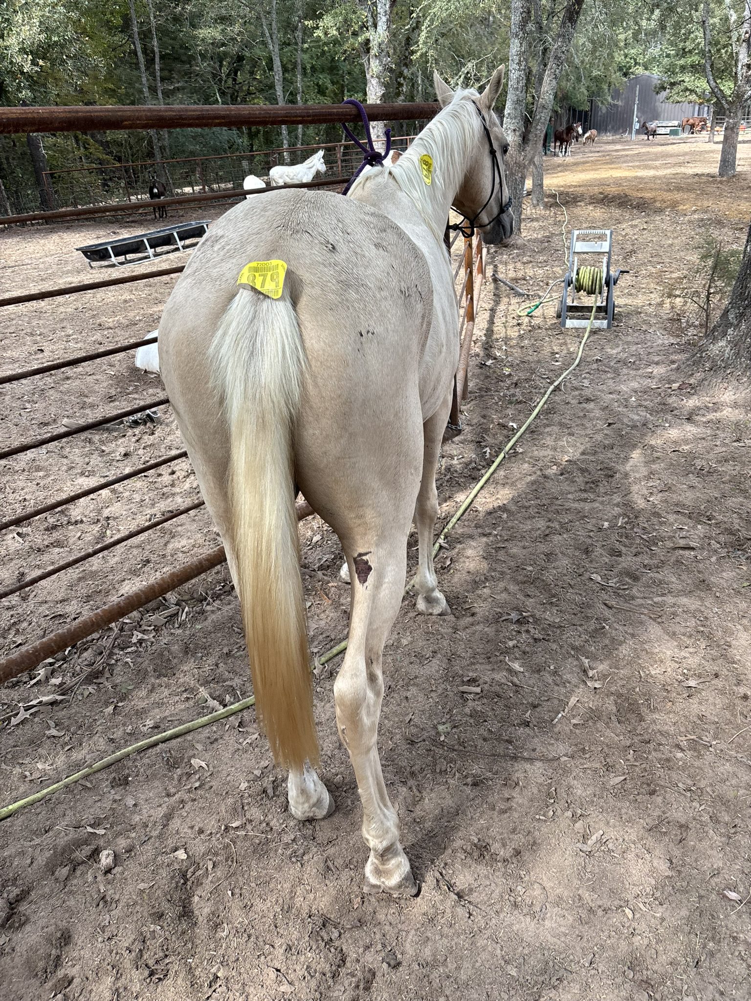 sully (copy) sully (copy)