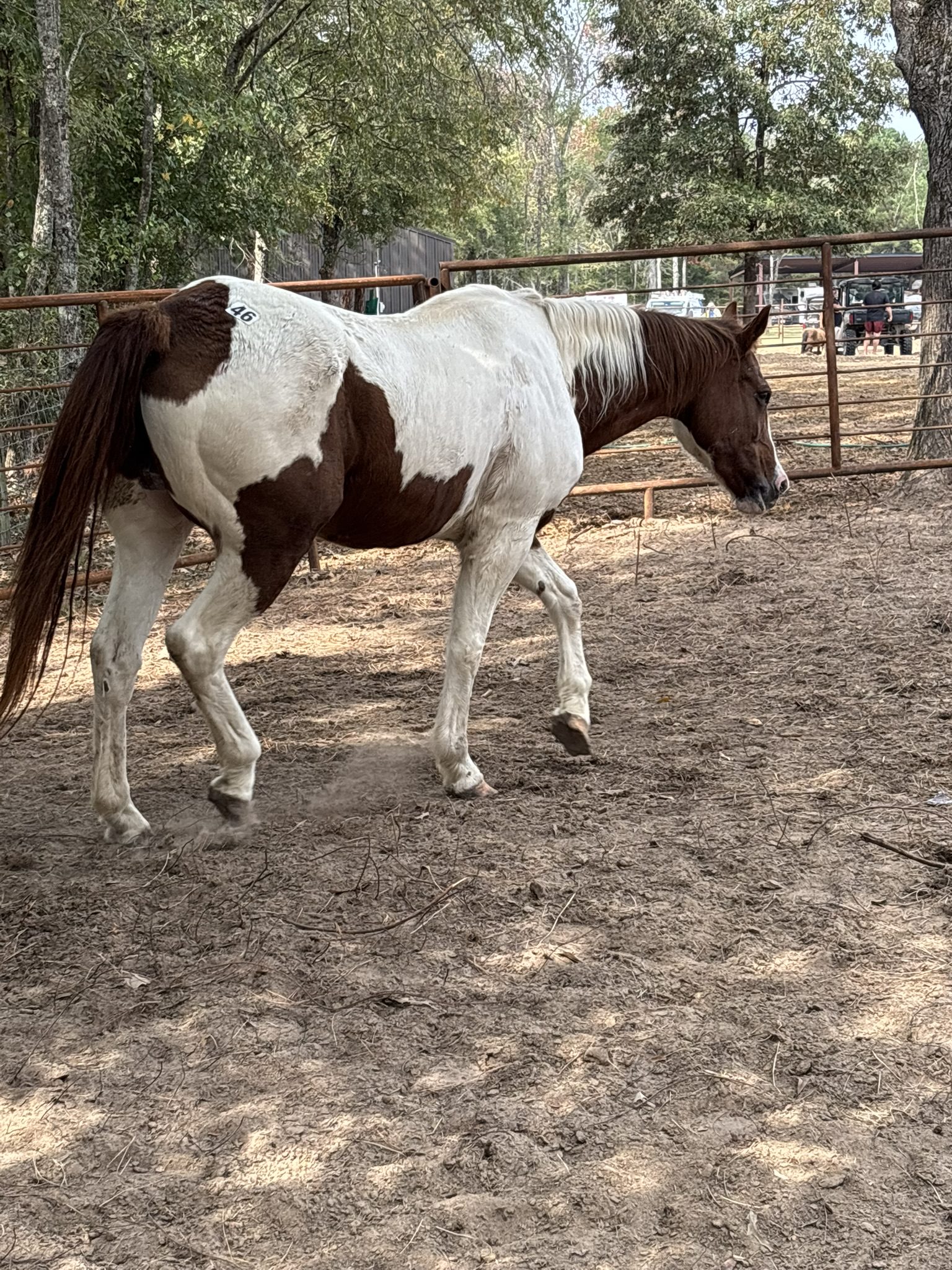 pebbles (copy) pebbles (copy)