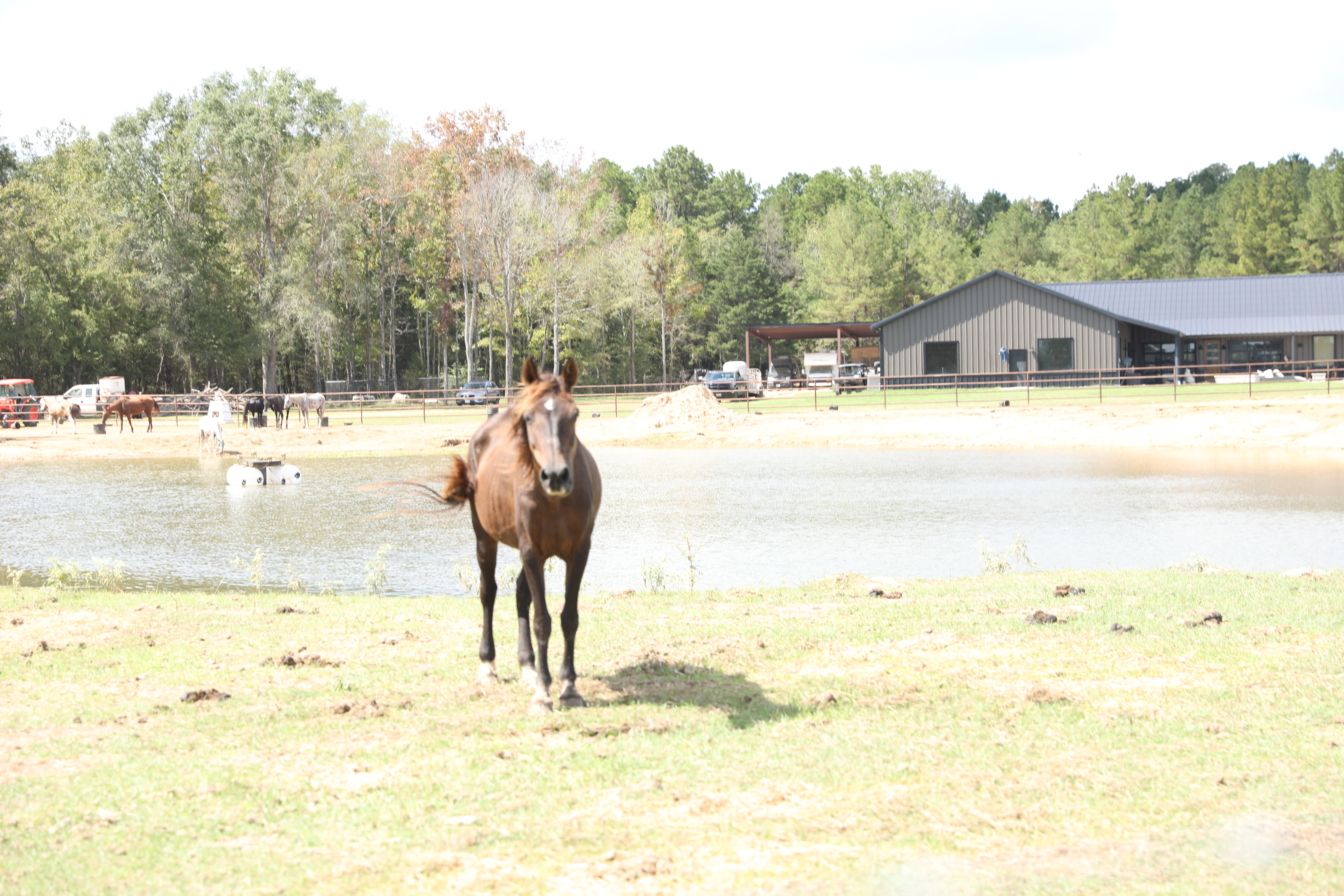 harley (copy) harley (copy)