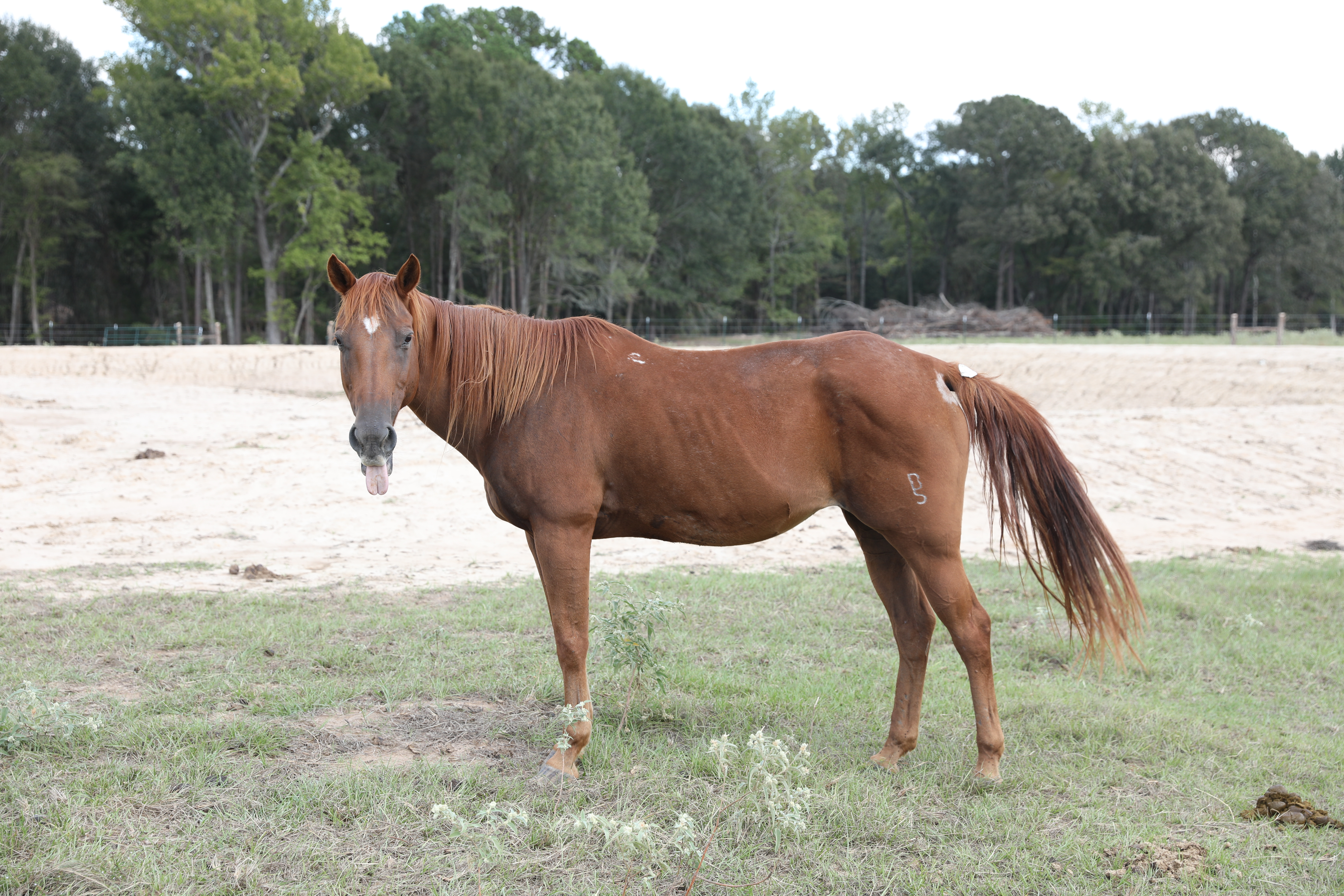 hope (copy) hope (copy)