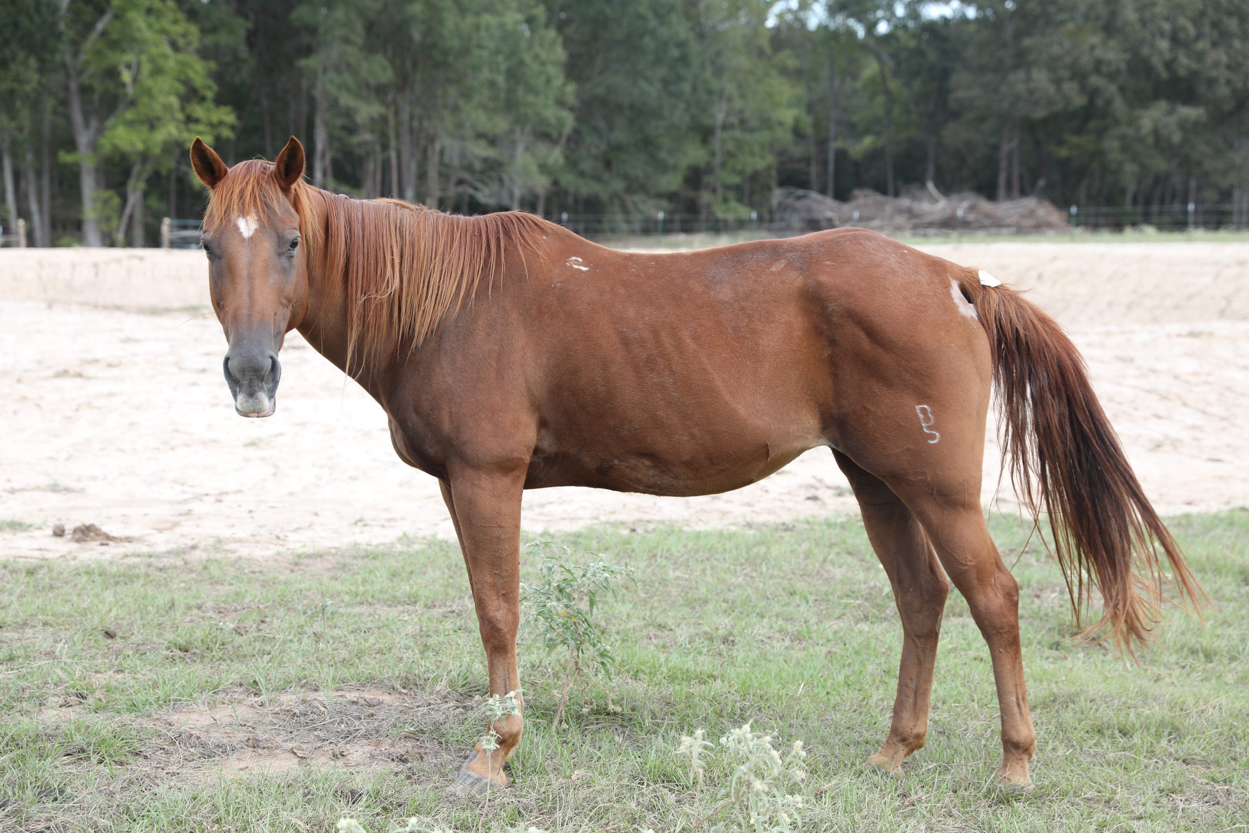 hope (copy) hope (copy)