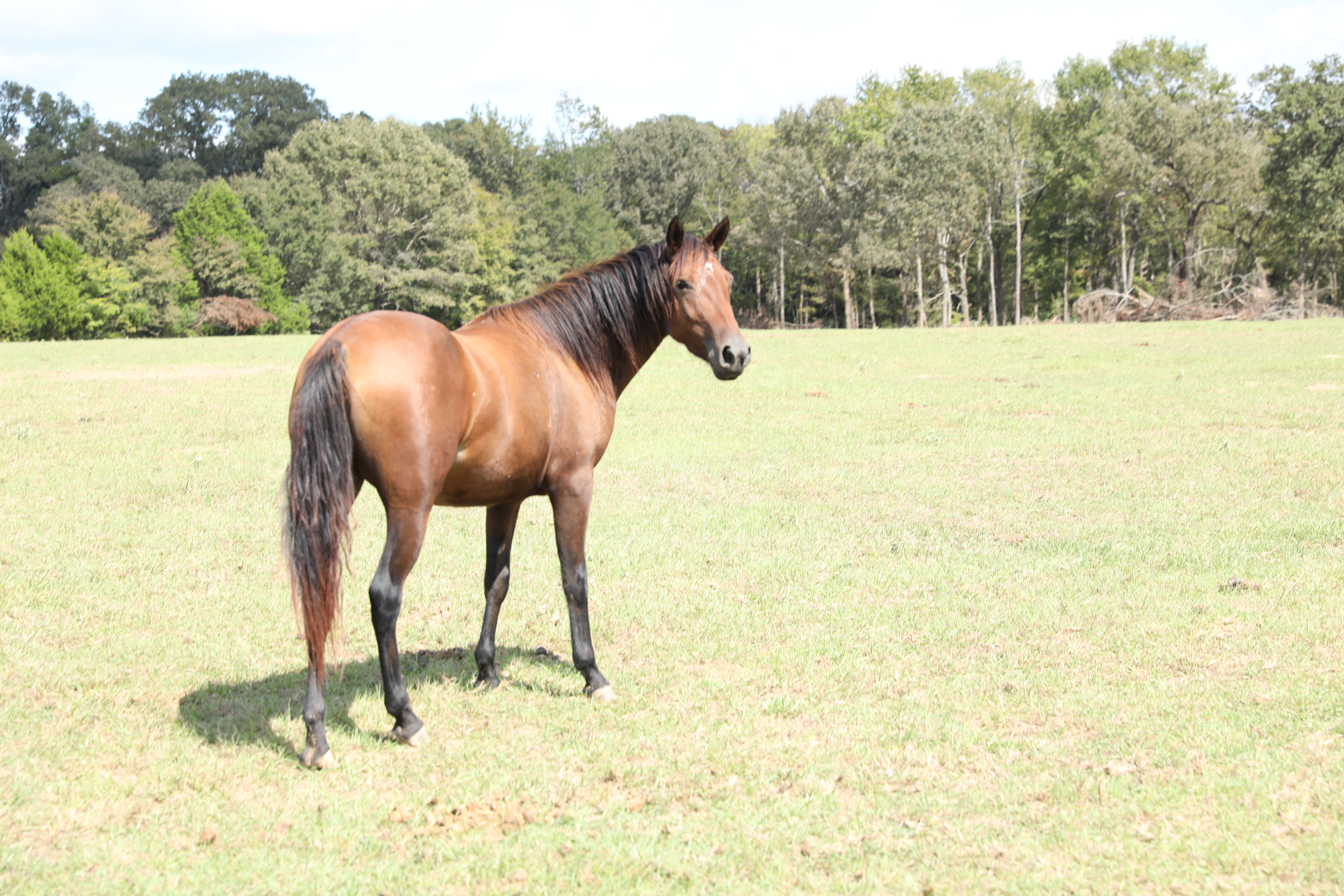 auto draft auto draft