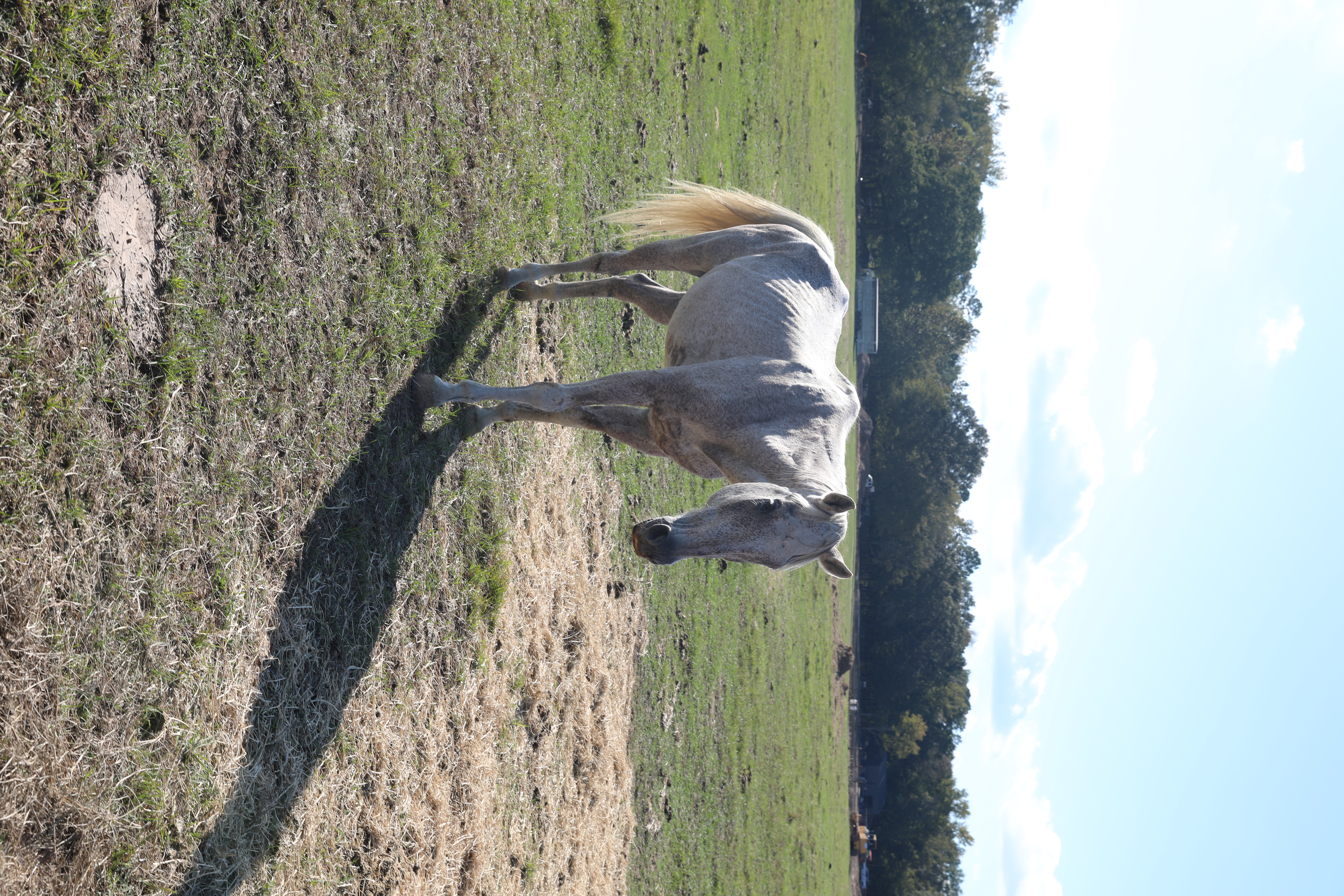 monte (copy) monte (copy)