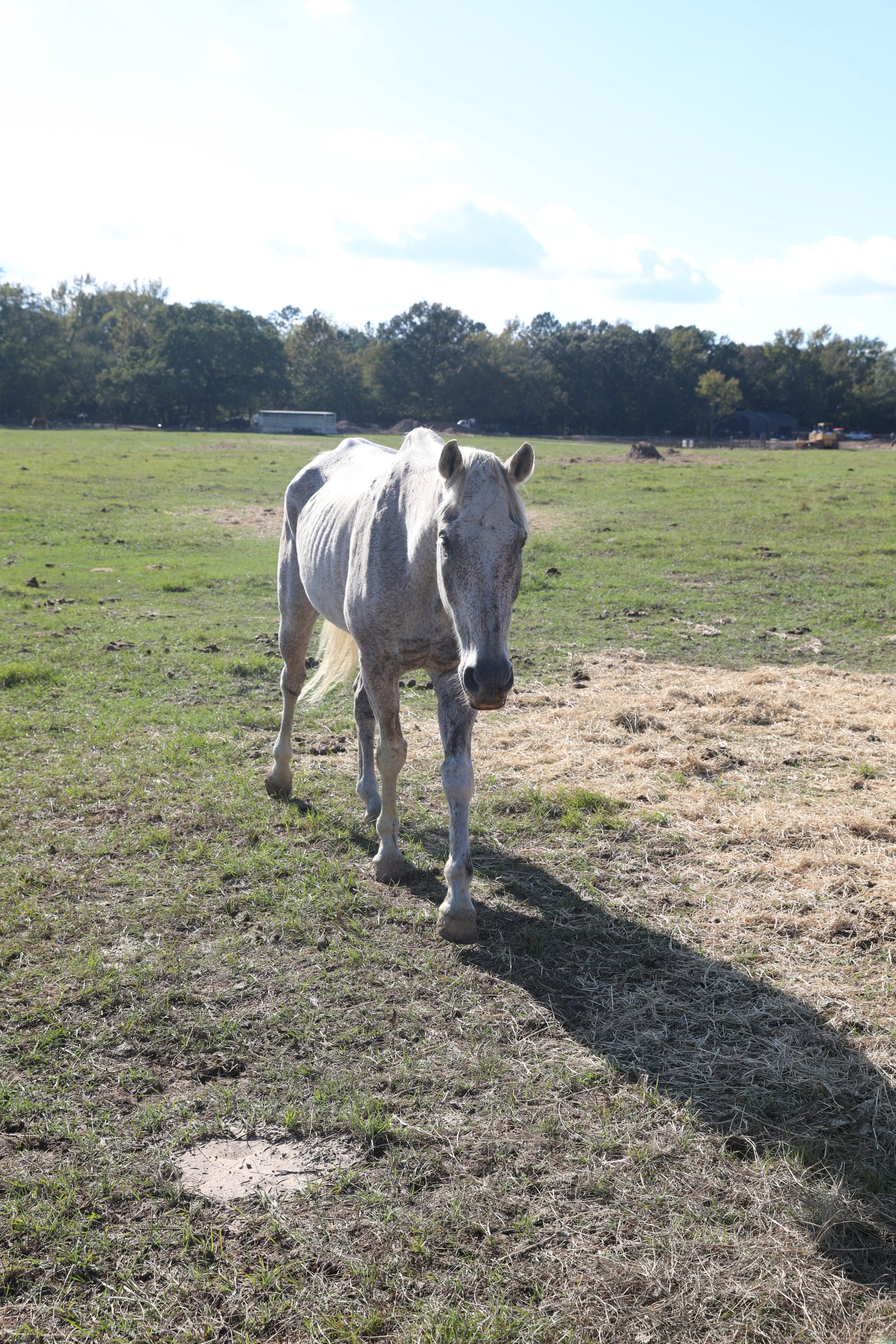 monte (copy) monte (copy)