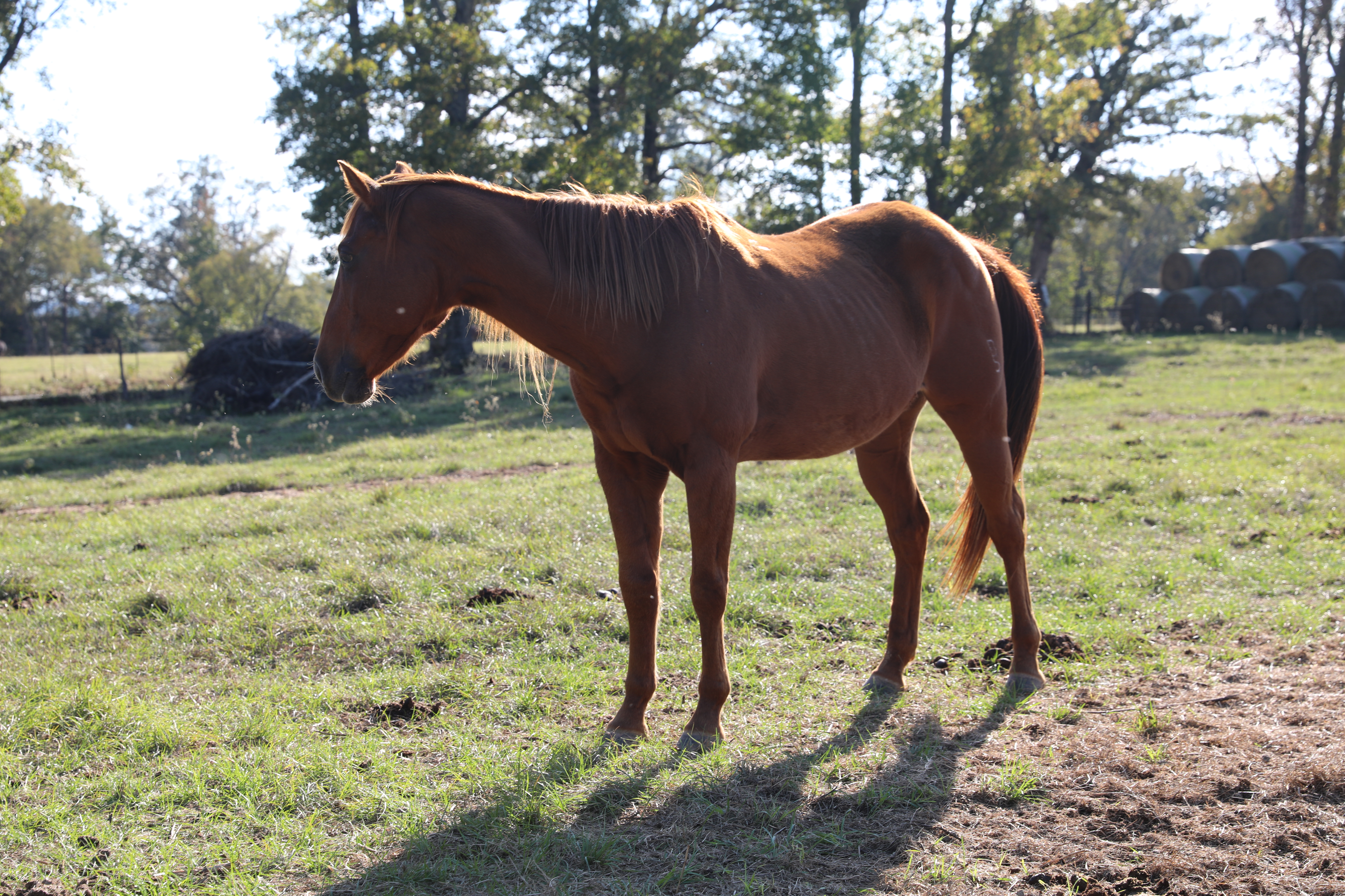 hope (copy) hope (copy)