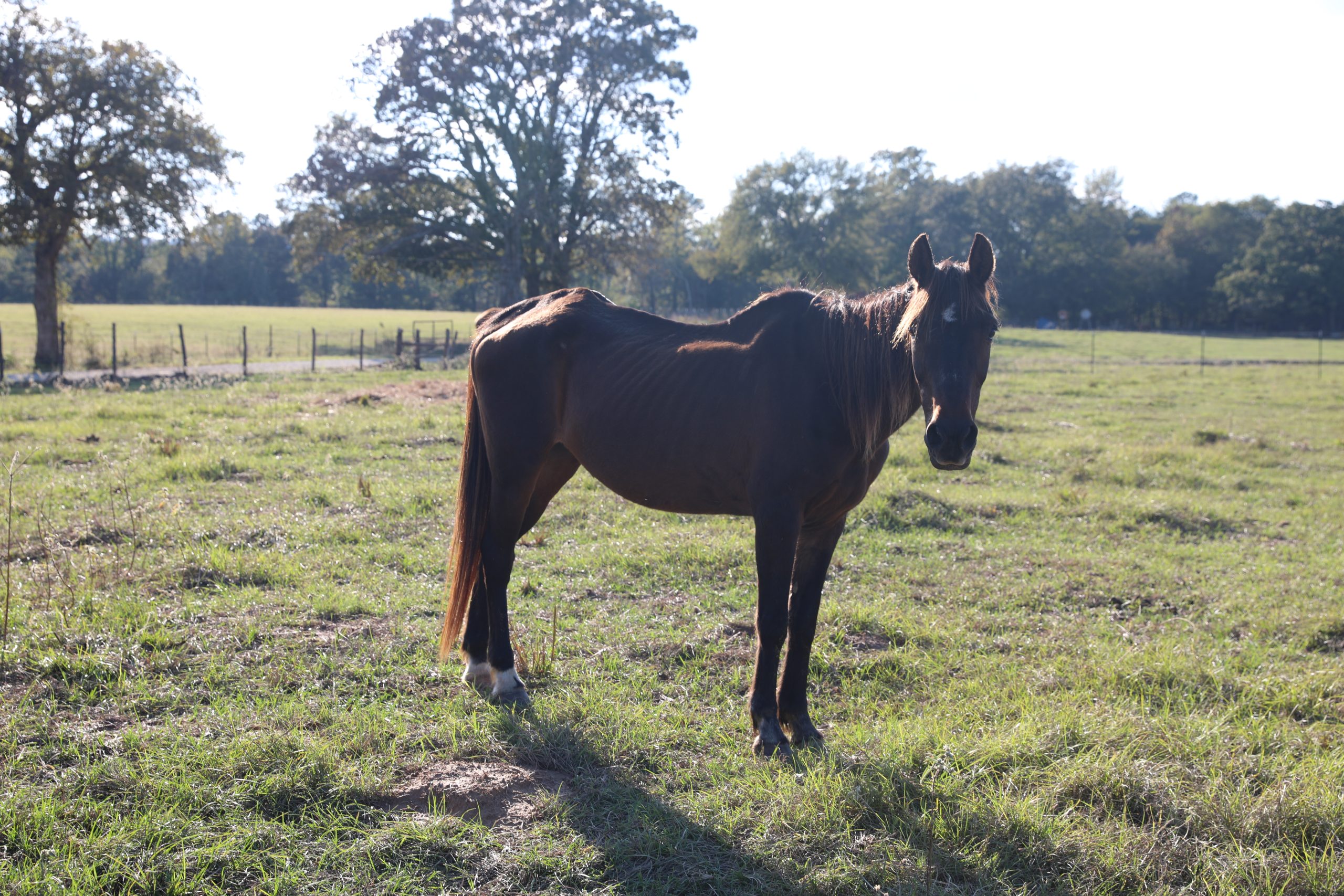 harley (copy) harley (copy)