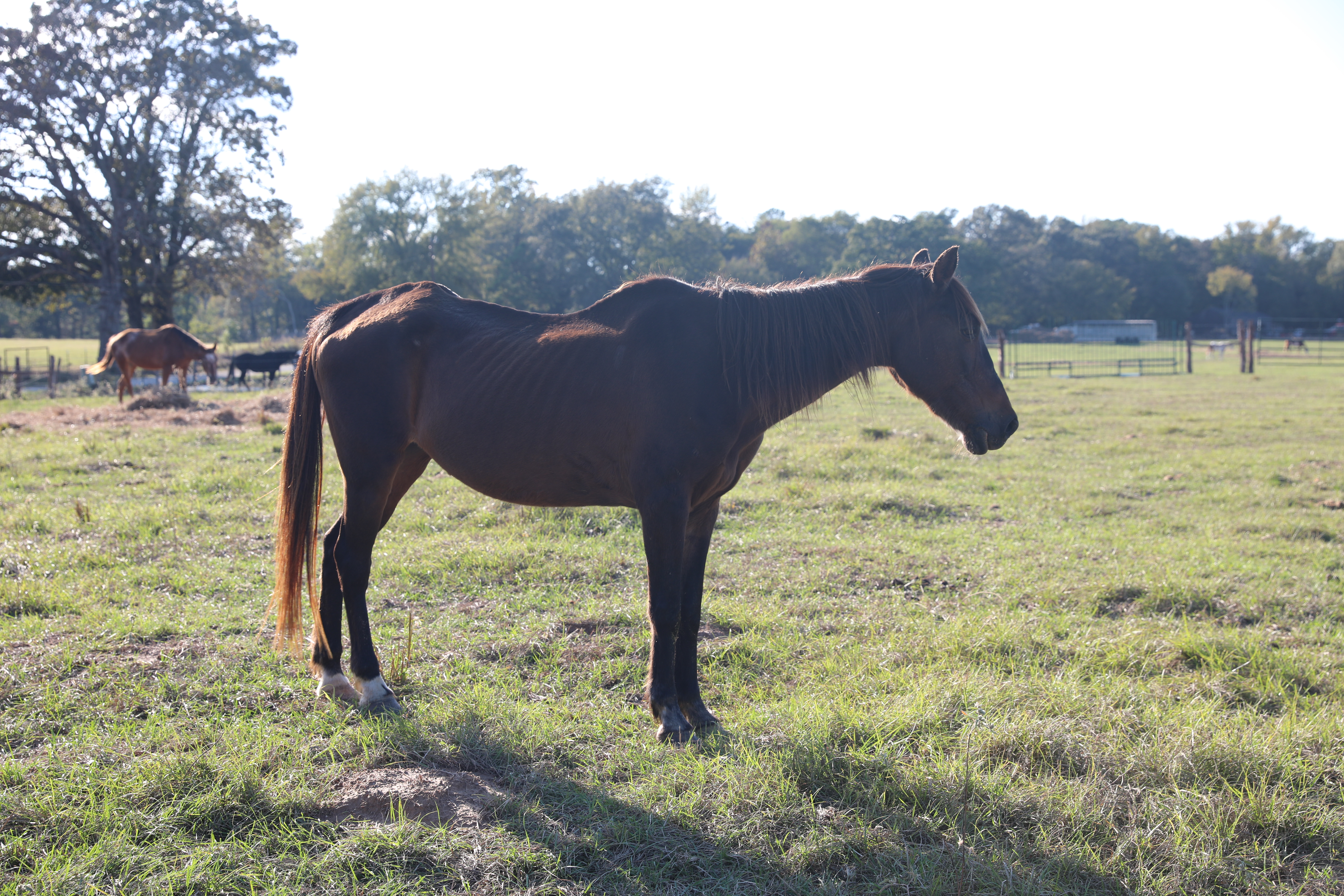 harley (copy) harley (copy)