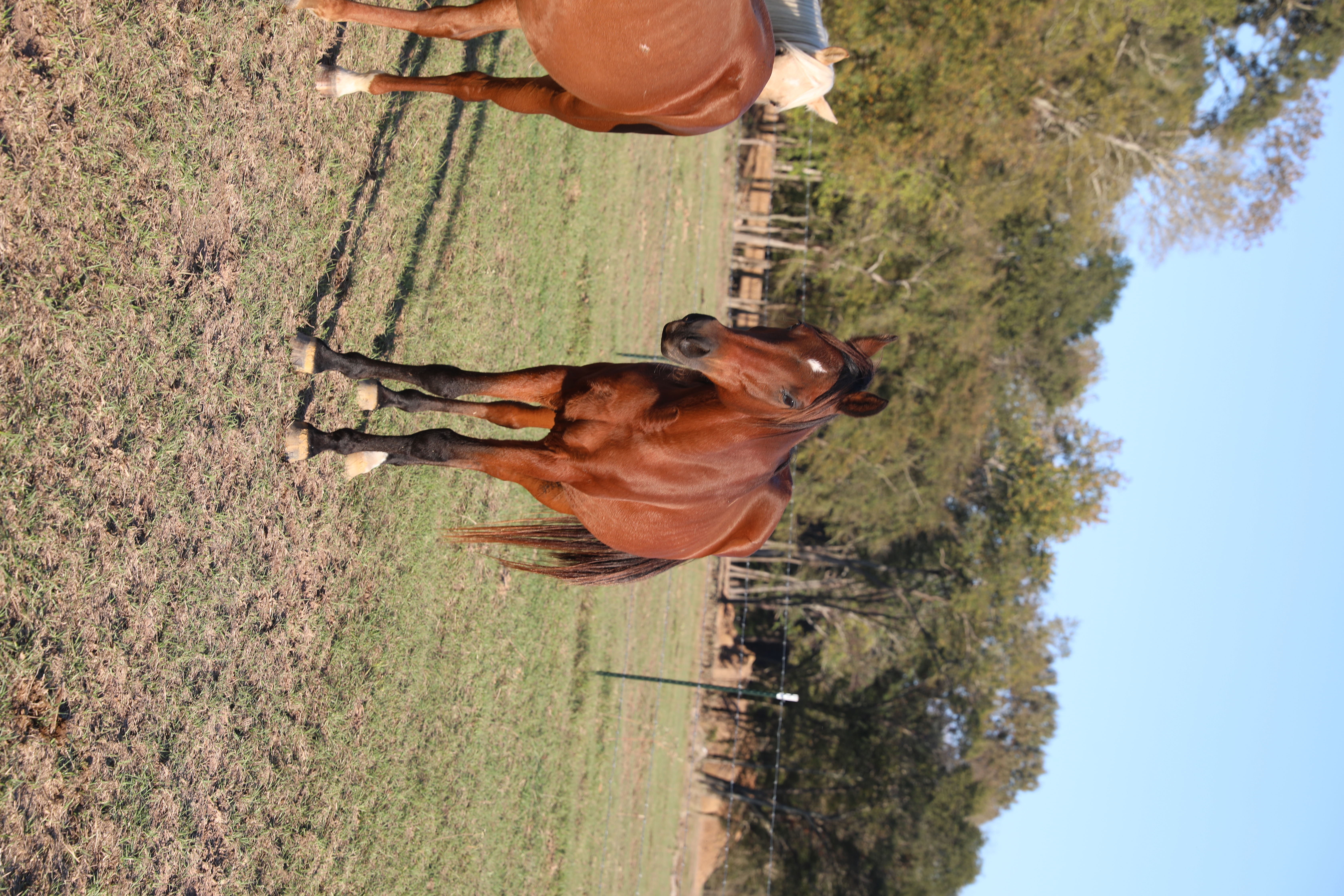 sanjay (copy) sanjay (copy)