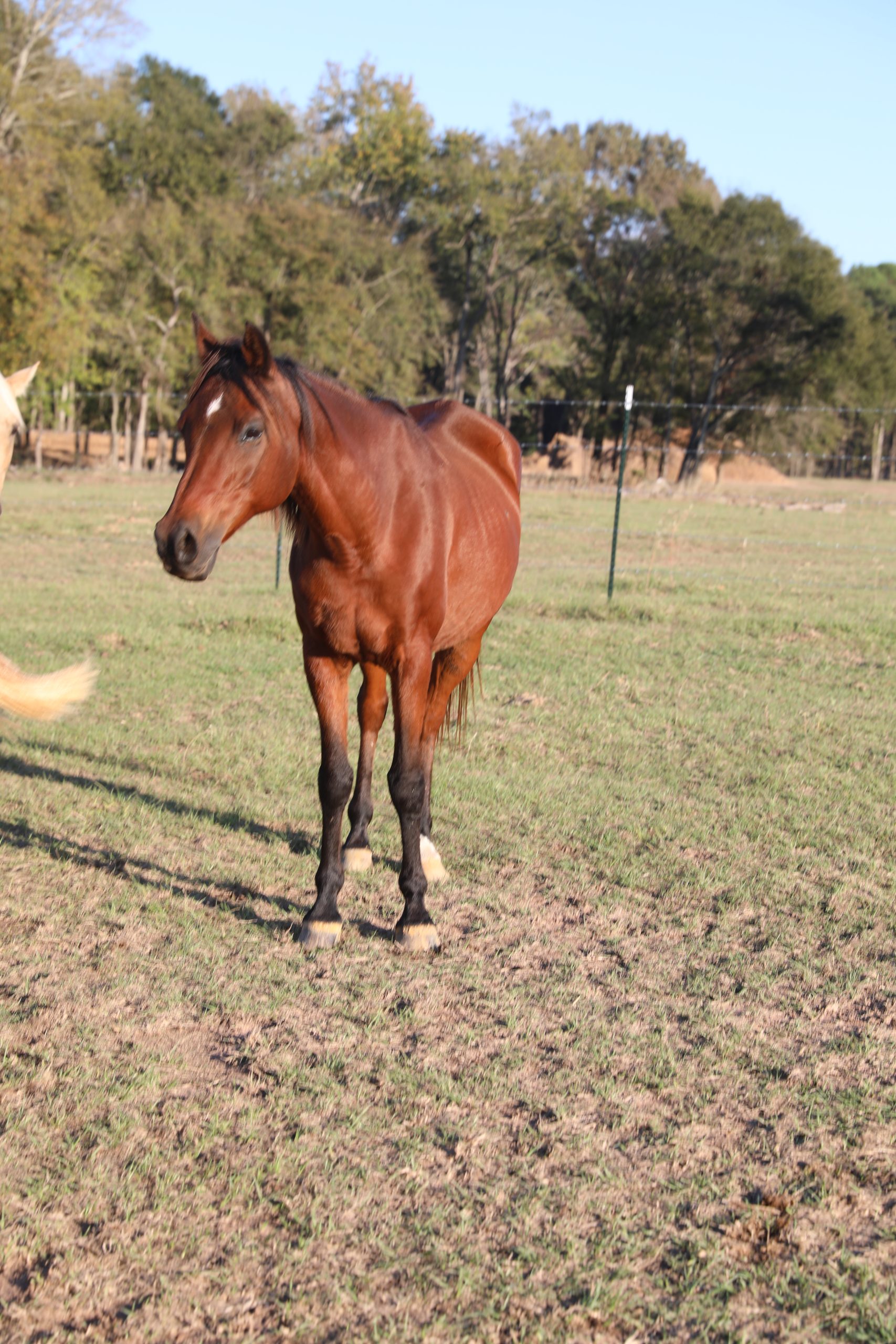 sanjay (copy) sanjay (copy)