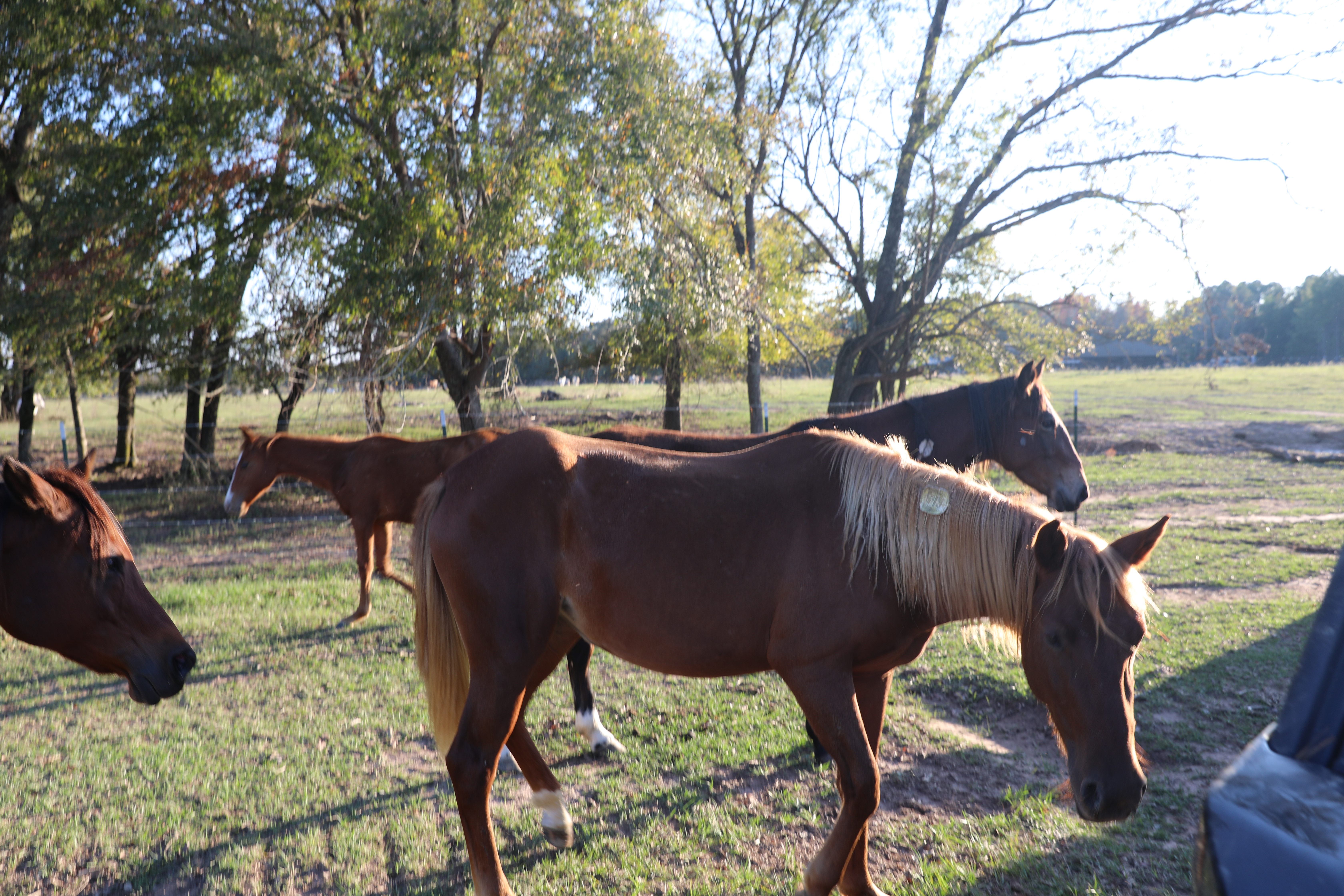 lary (copy) lary (copy)