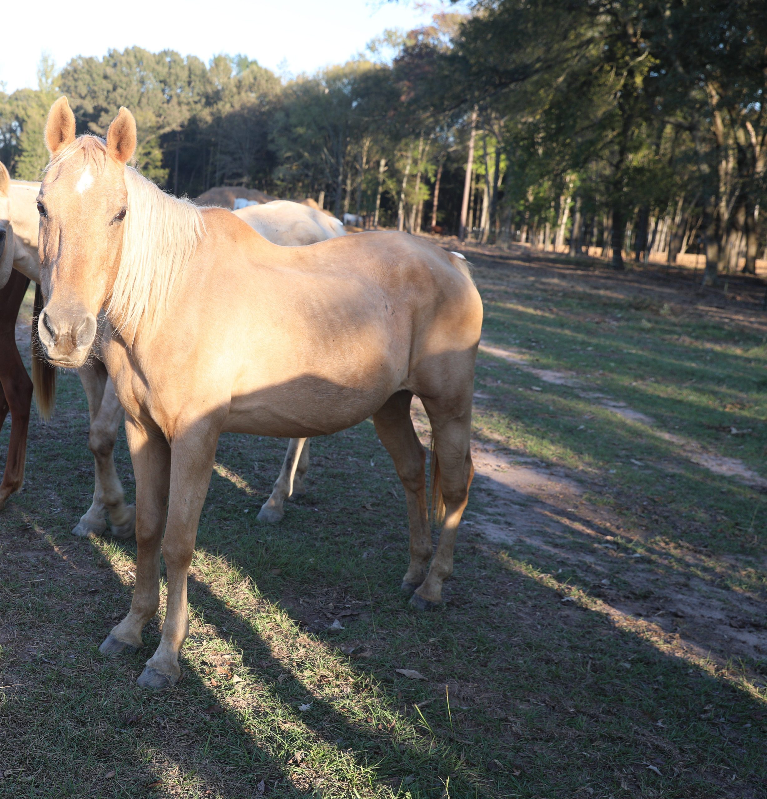 huk (copy) huk (copy)